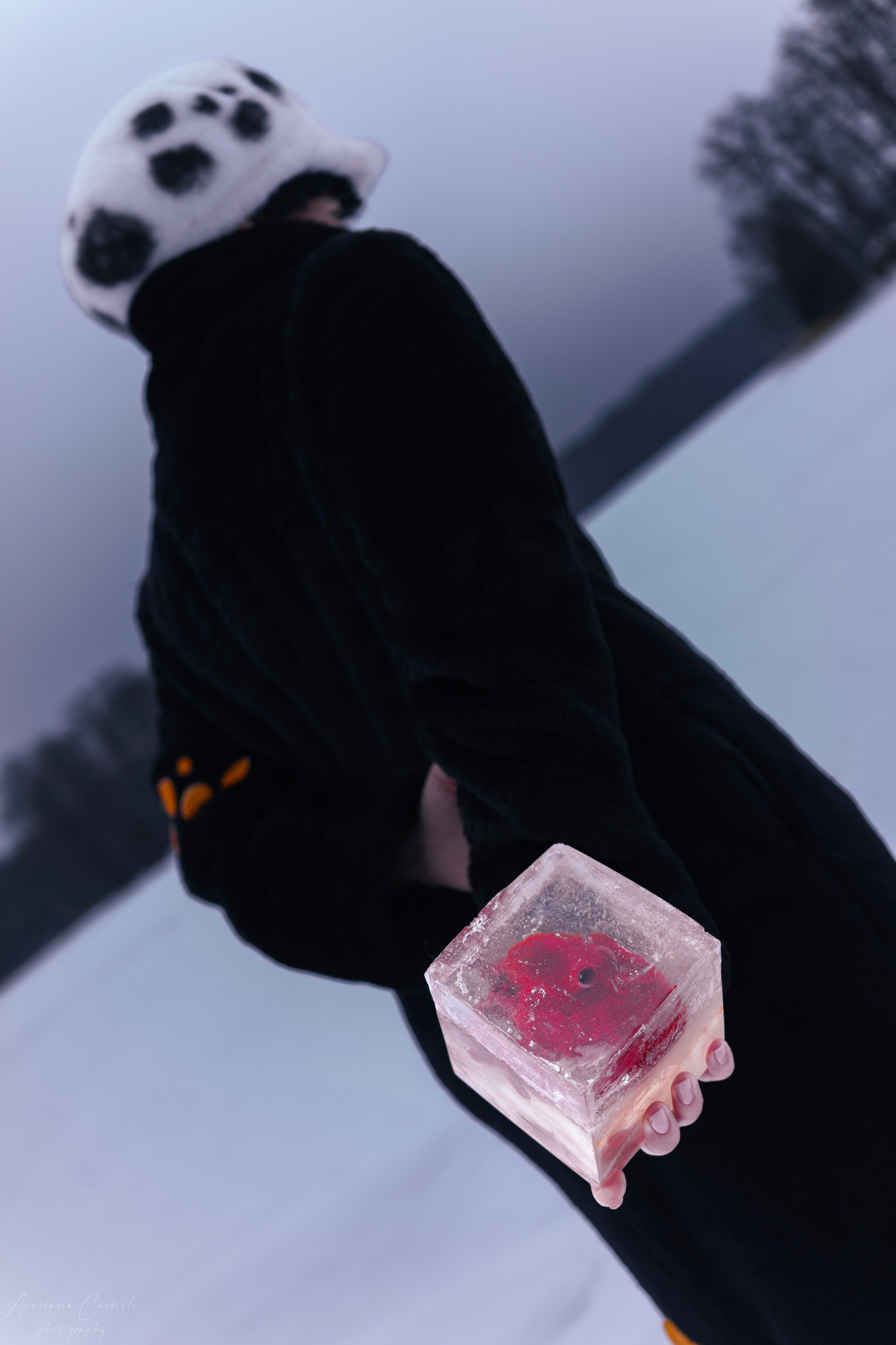 One Piece. Творческий и косплей фотограф Анастасия Кастиэло