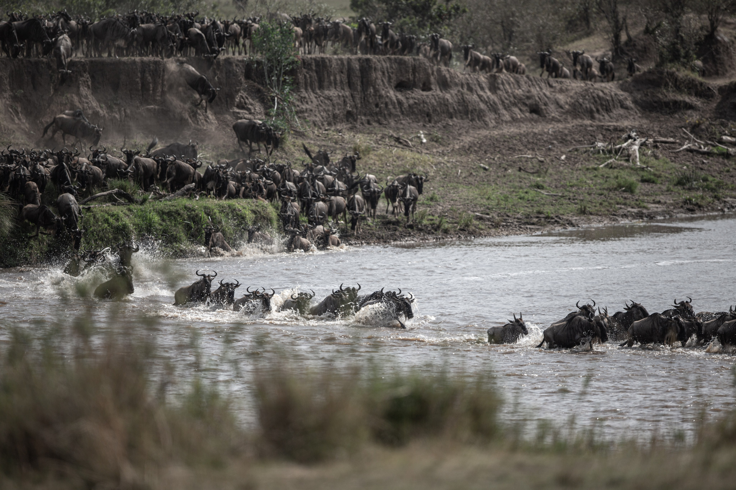 Танзания. Добродеева Алла фотограф, Москва