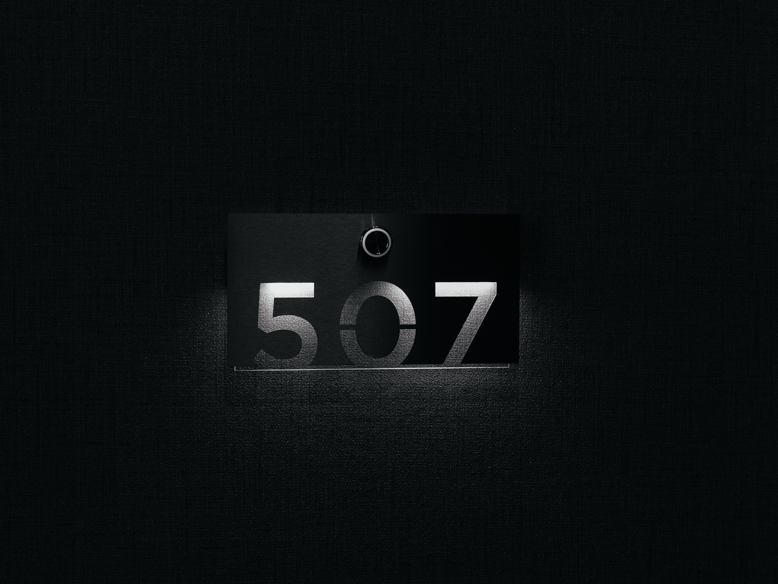 Камила и Роман. Свадебный фотограф в Москве Топтыгин Иван