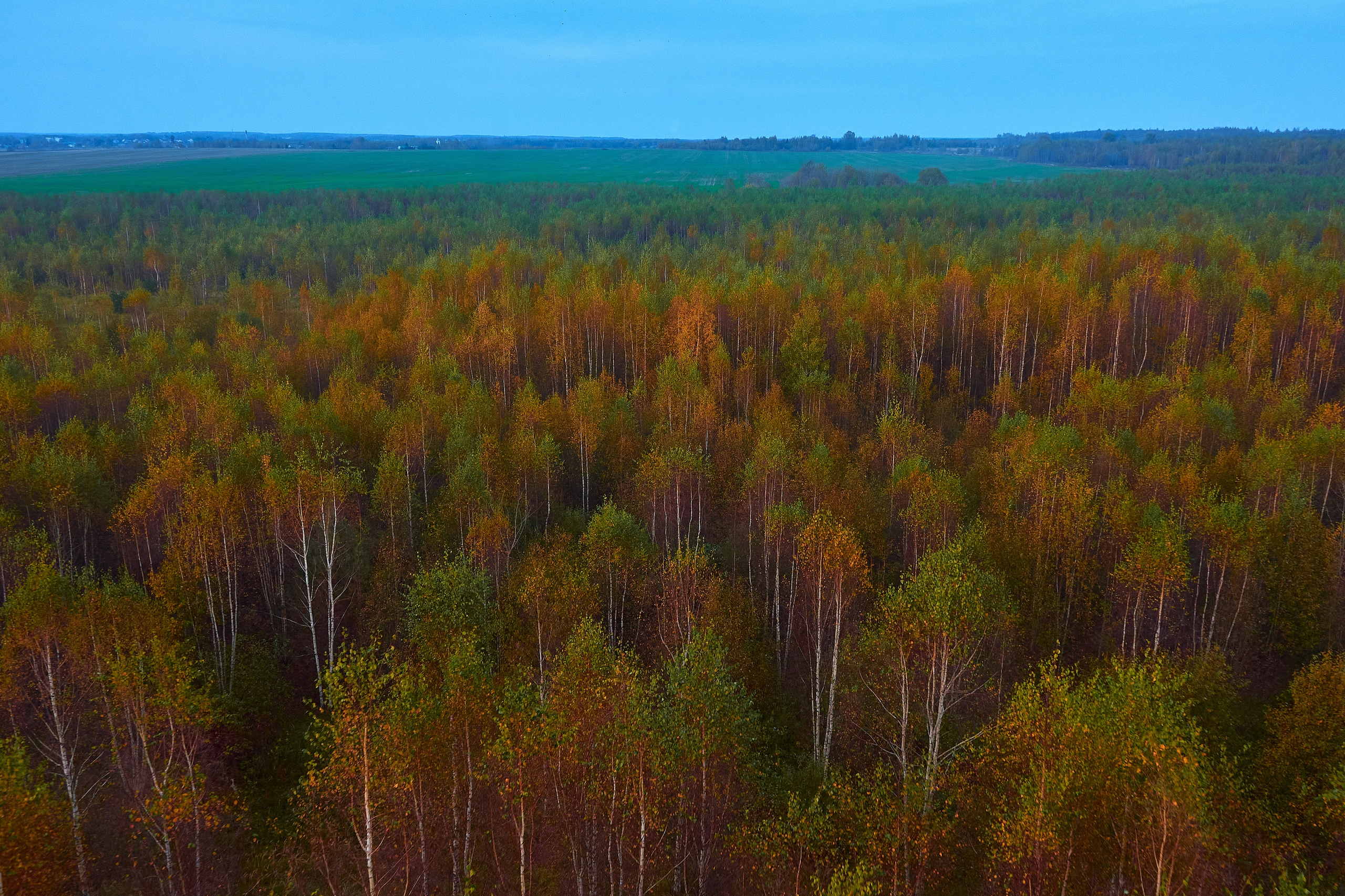 На большом воздушном шаре. Ольга Чёкотова (Фотограф Кострома)