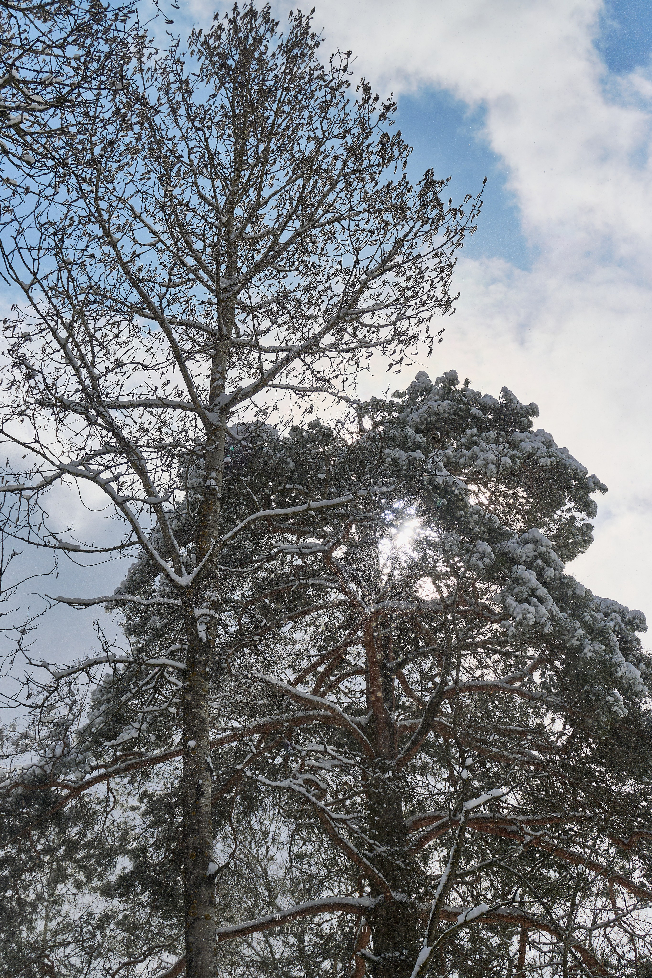 Апрельский снег. Москва 2025. Фотограф Роман Адлер