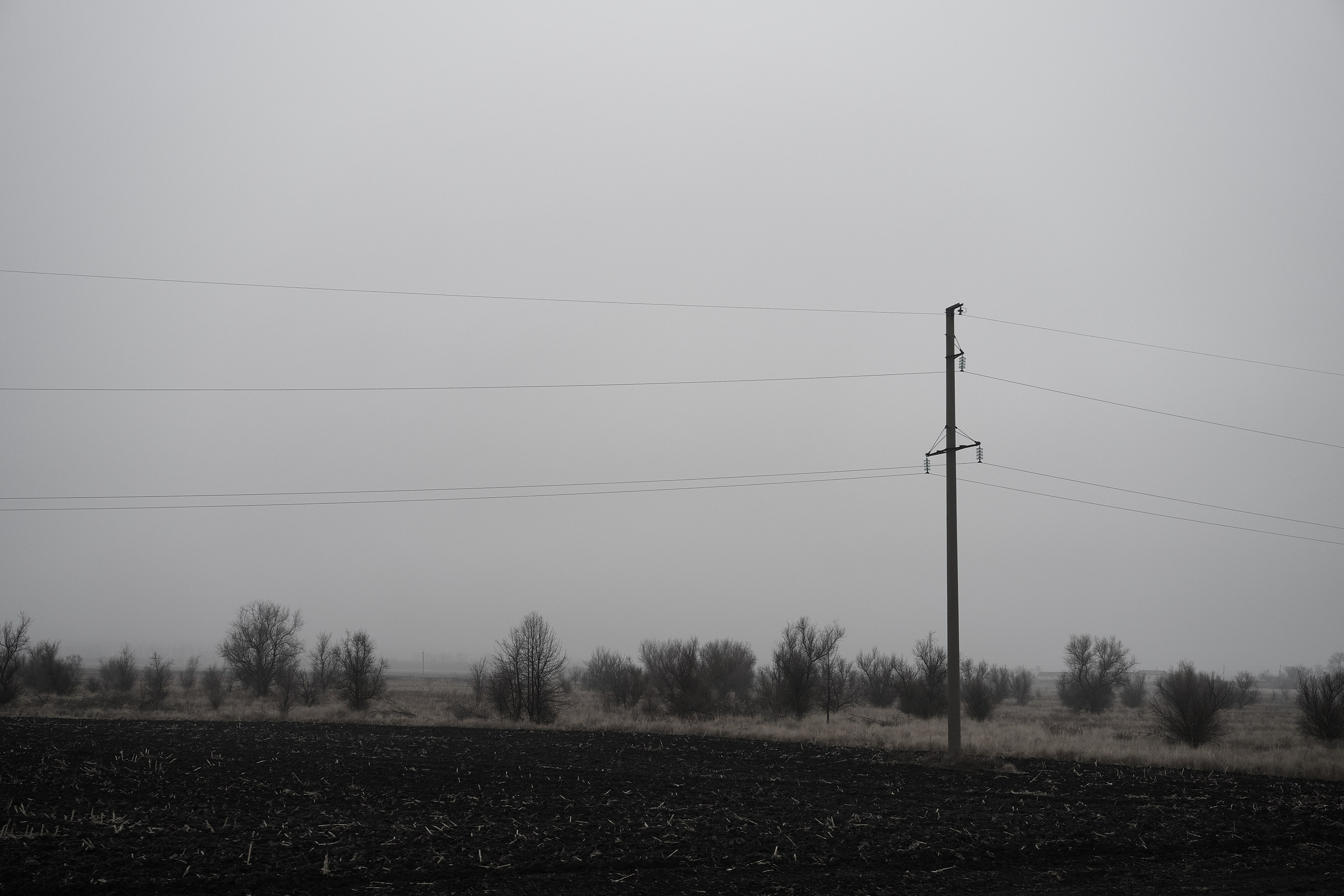 Дорога домой. Туман. Фотограф Роман Адлер