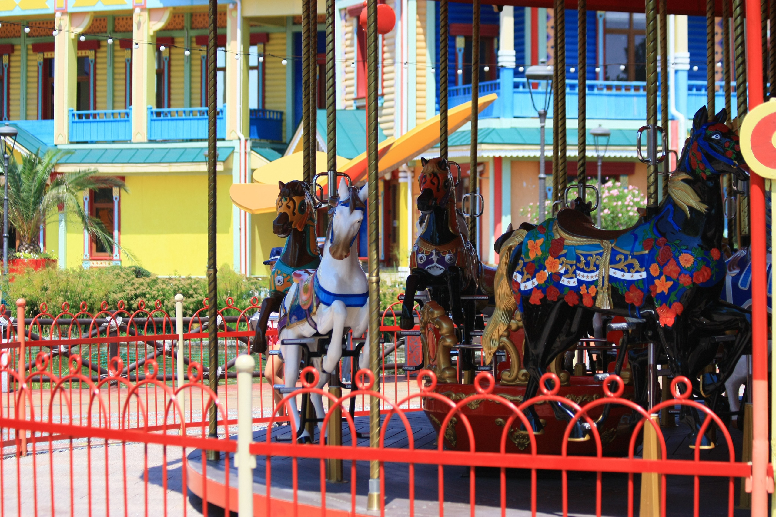 Первые кадры. Сочи — парк. Фотограф Роман Адлер