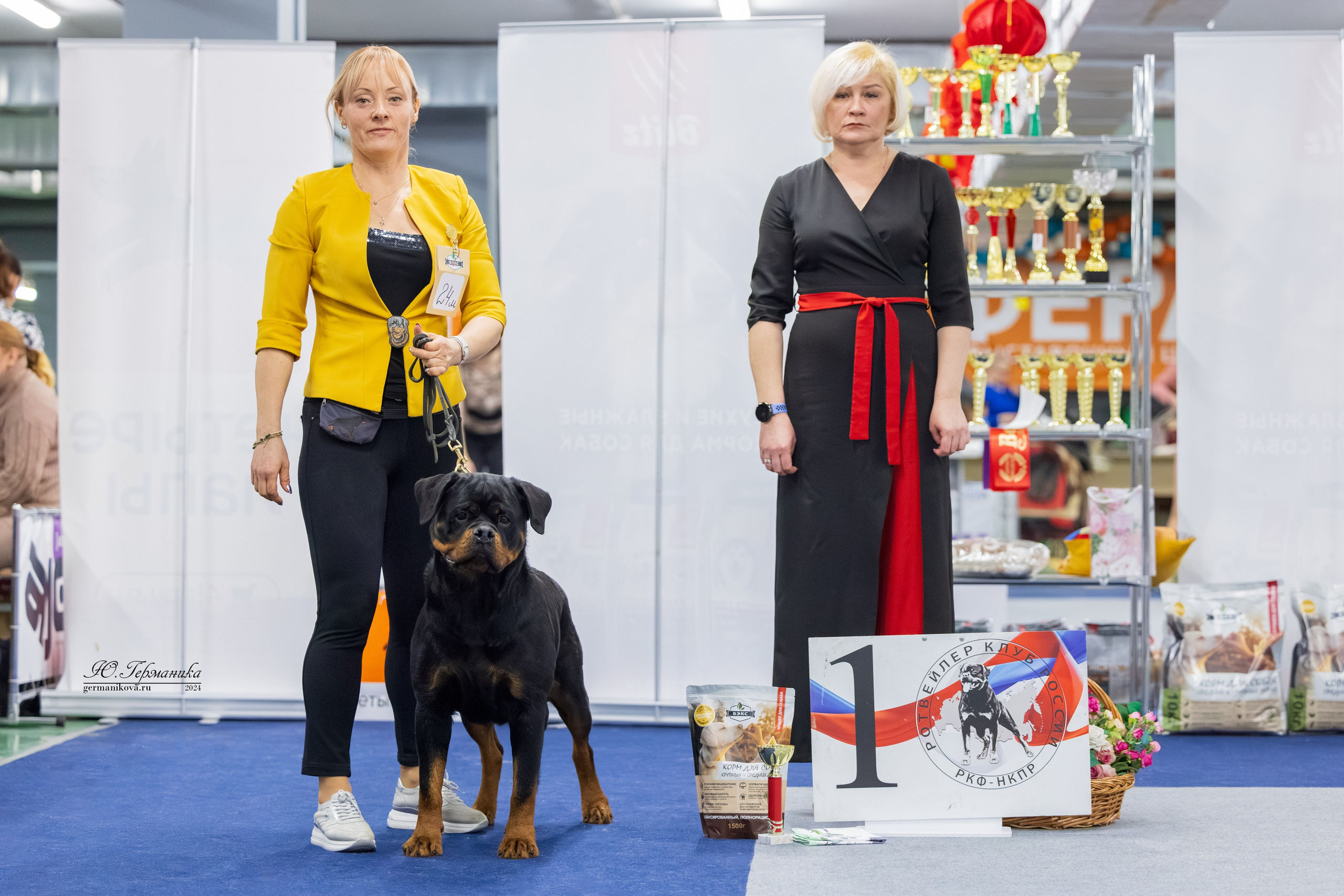 Сфера 08 и 10.03.2024 2хмоно ротвейлеров+2хмоно сао. Фотограф-анималист Юлия Германика