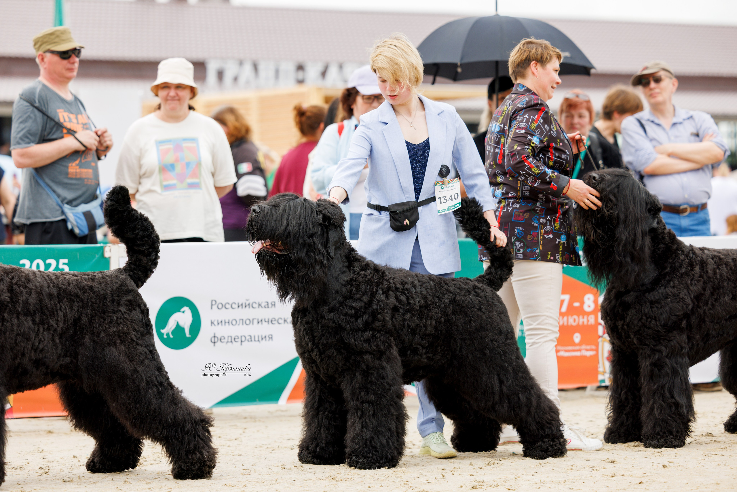 РОССИЯ 7-8.06.2025. Фотограф-анималист Юлия Германика