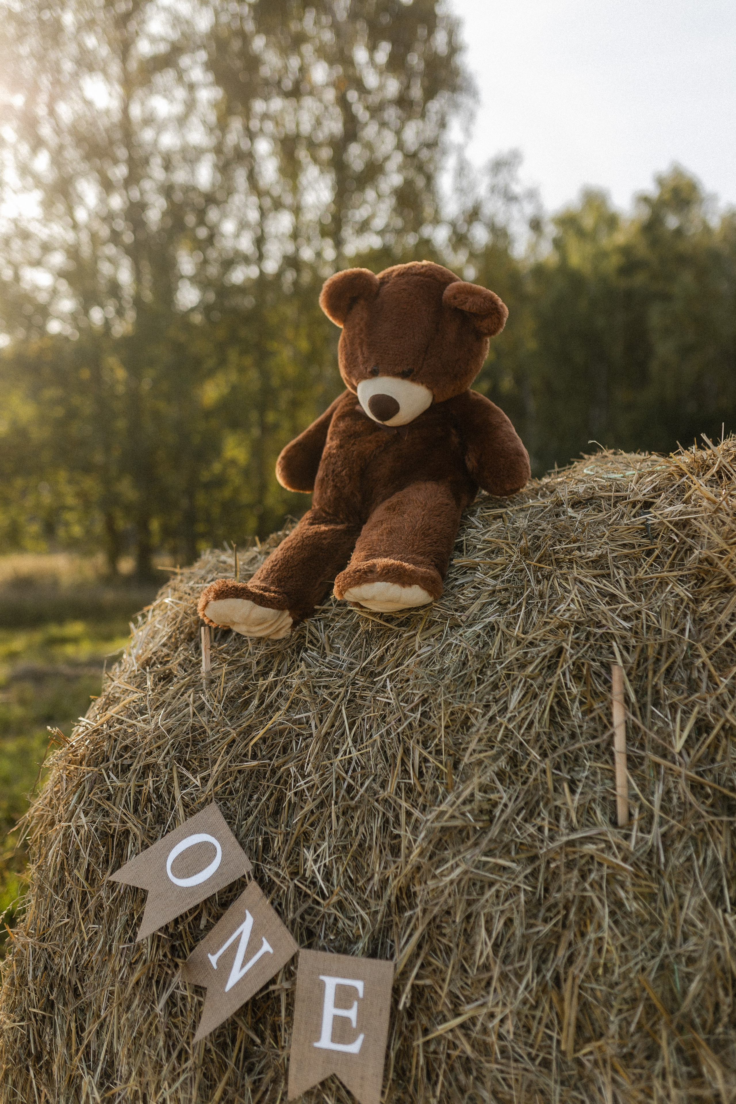 Годовасик. Семейный фотограф в Нижнем Новгороде Доронина Юлия