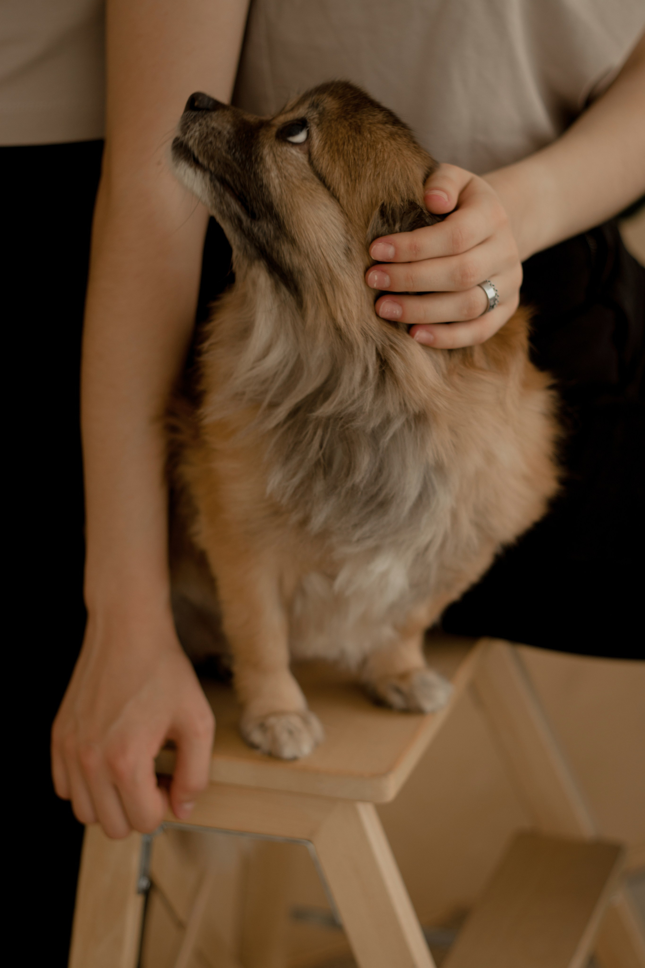 Анастасия|Ирина|Эми. Фотограф Краснодар Анастасия Епифанова