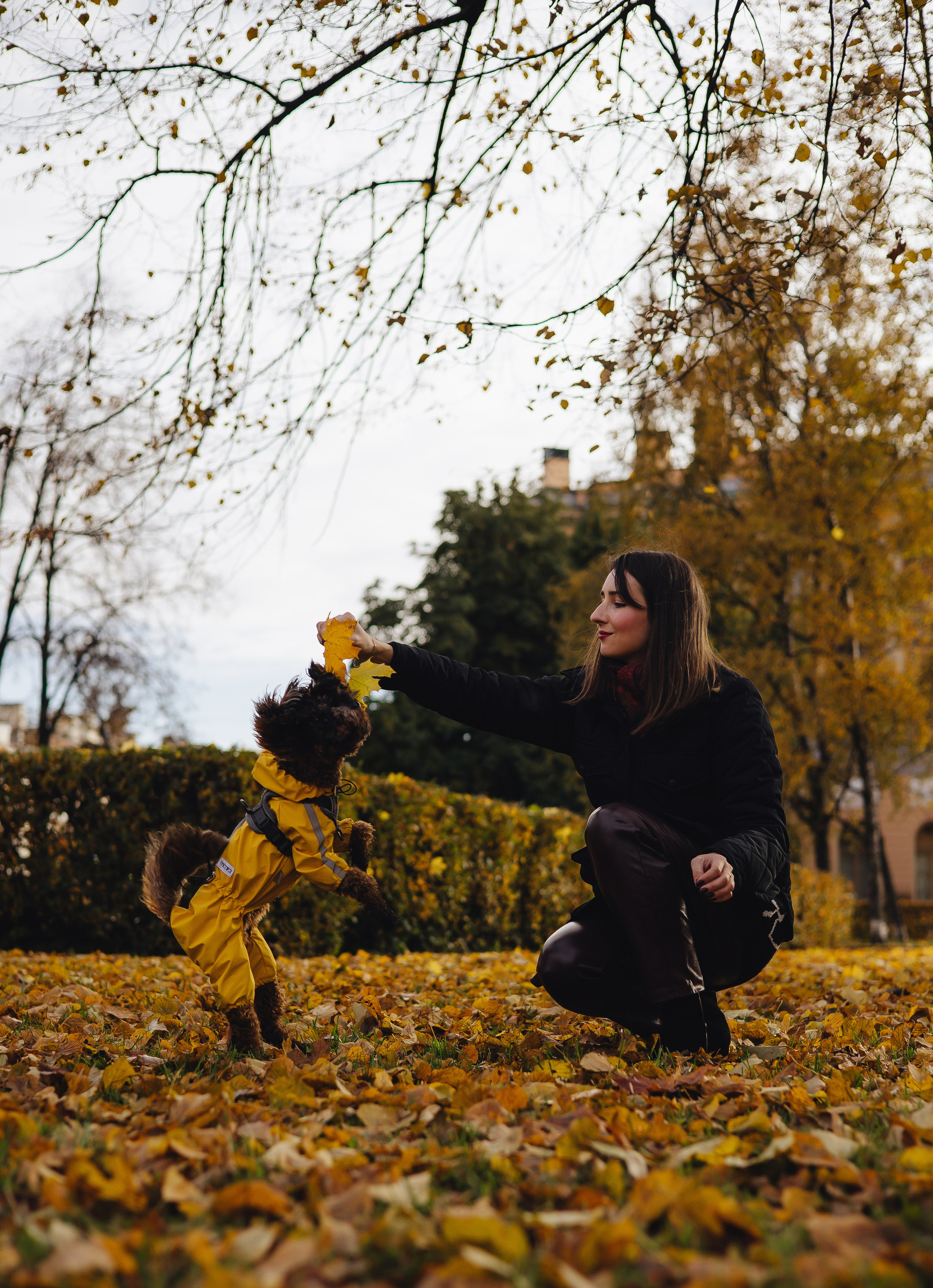 Летающая Мерси