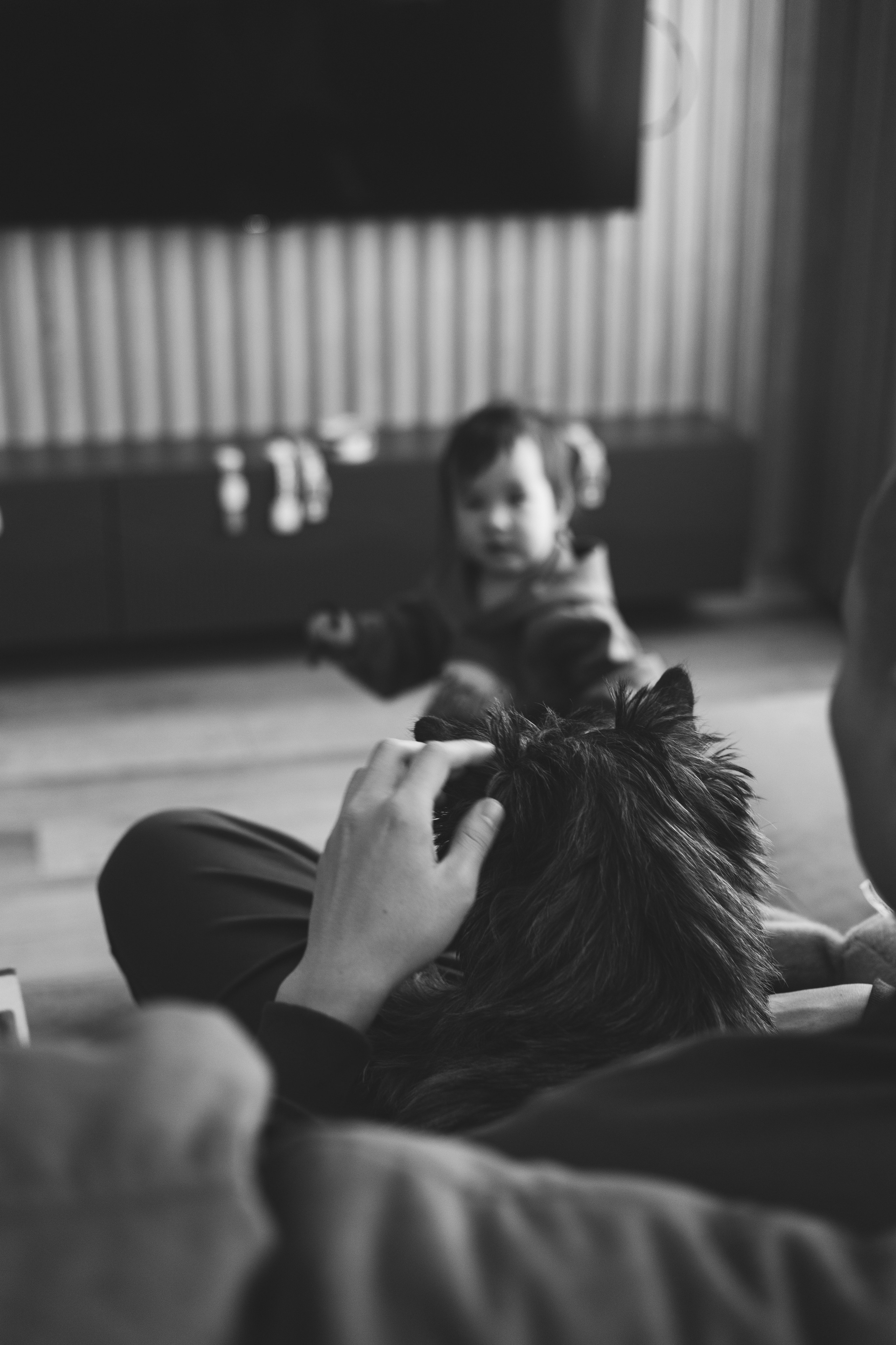 Домашняя съемка