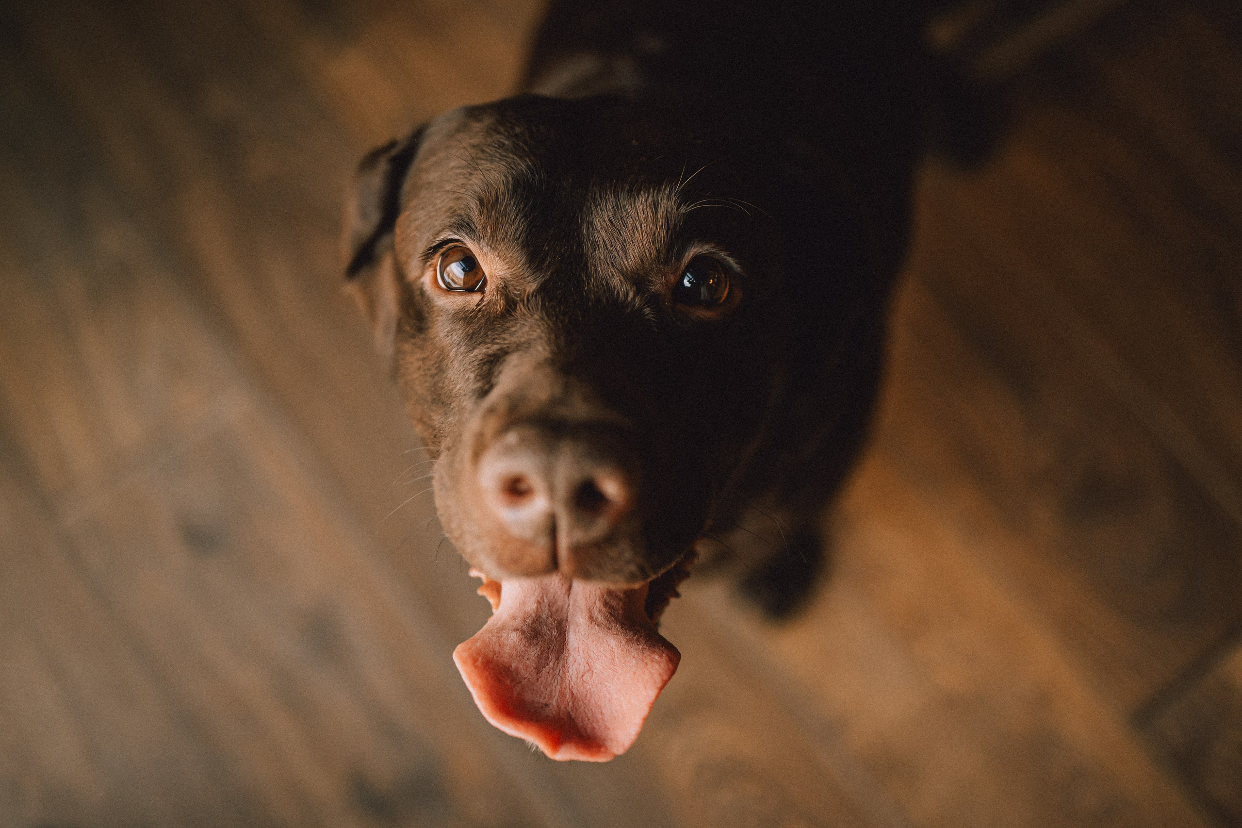 Ума, Берта и их семья