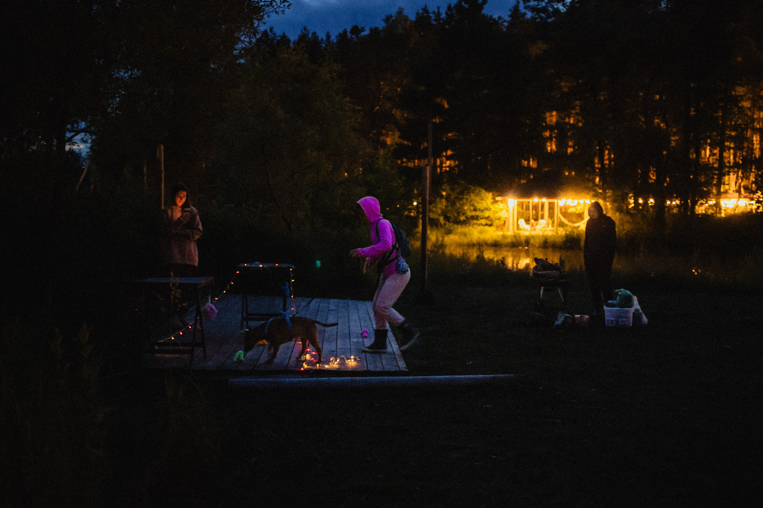 Выездной дог-тренинг от школы «Шерсть имею»