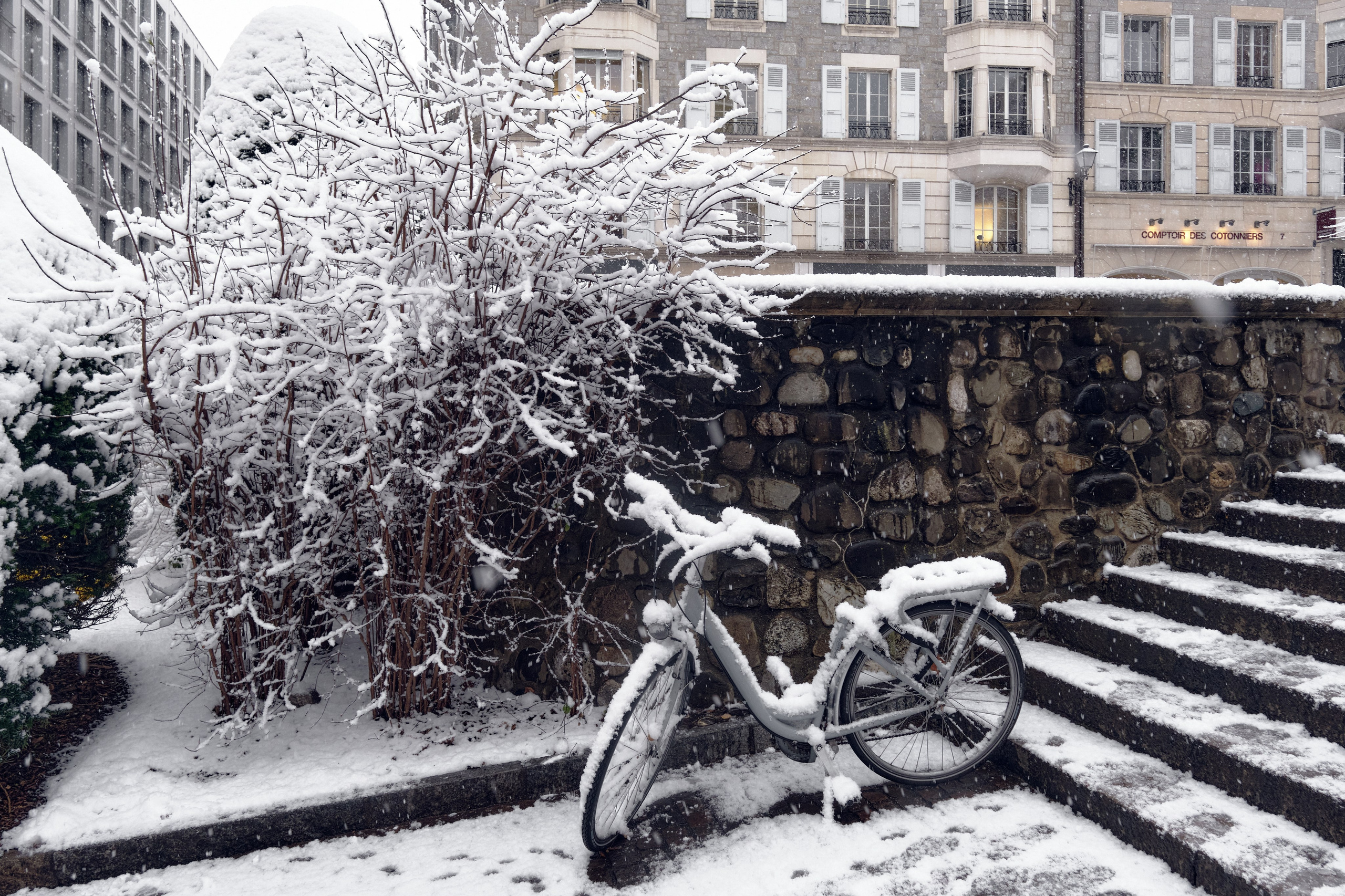 Geneva / winter 2024. Aleksandr Kobtsev