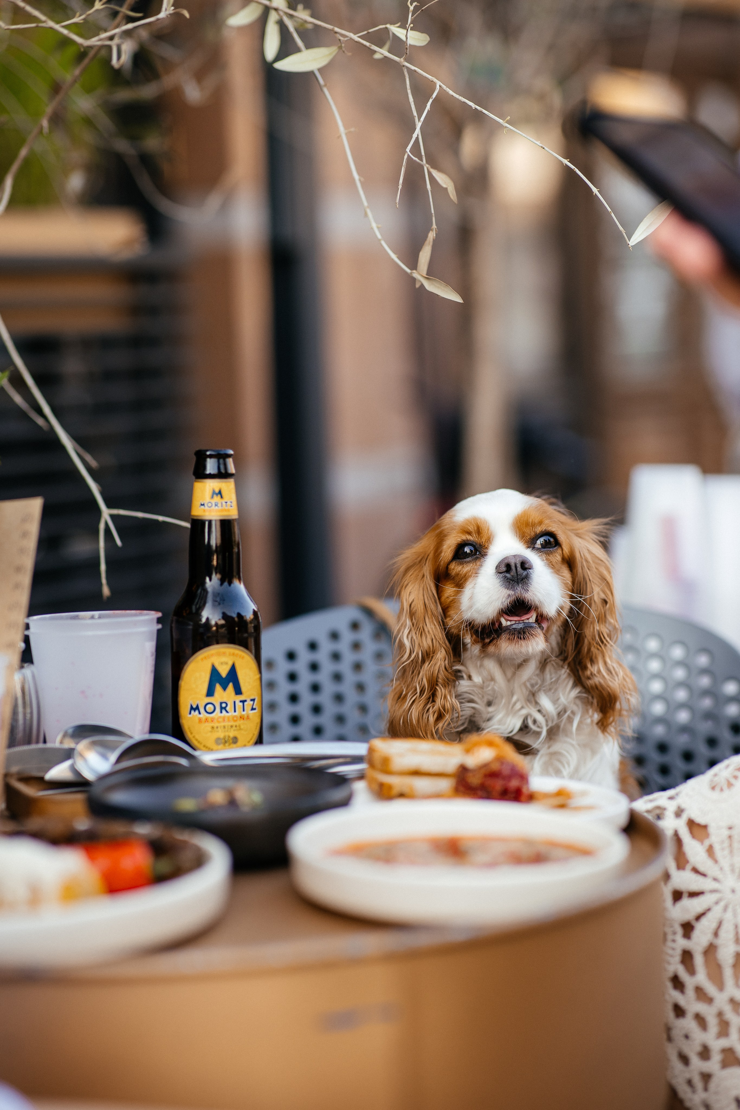 Репортаж. Фотограф Павел Рыжков