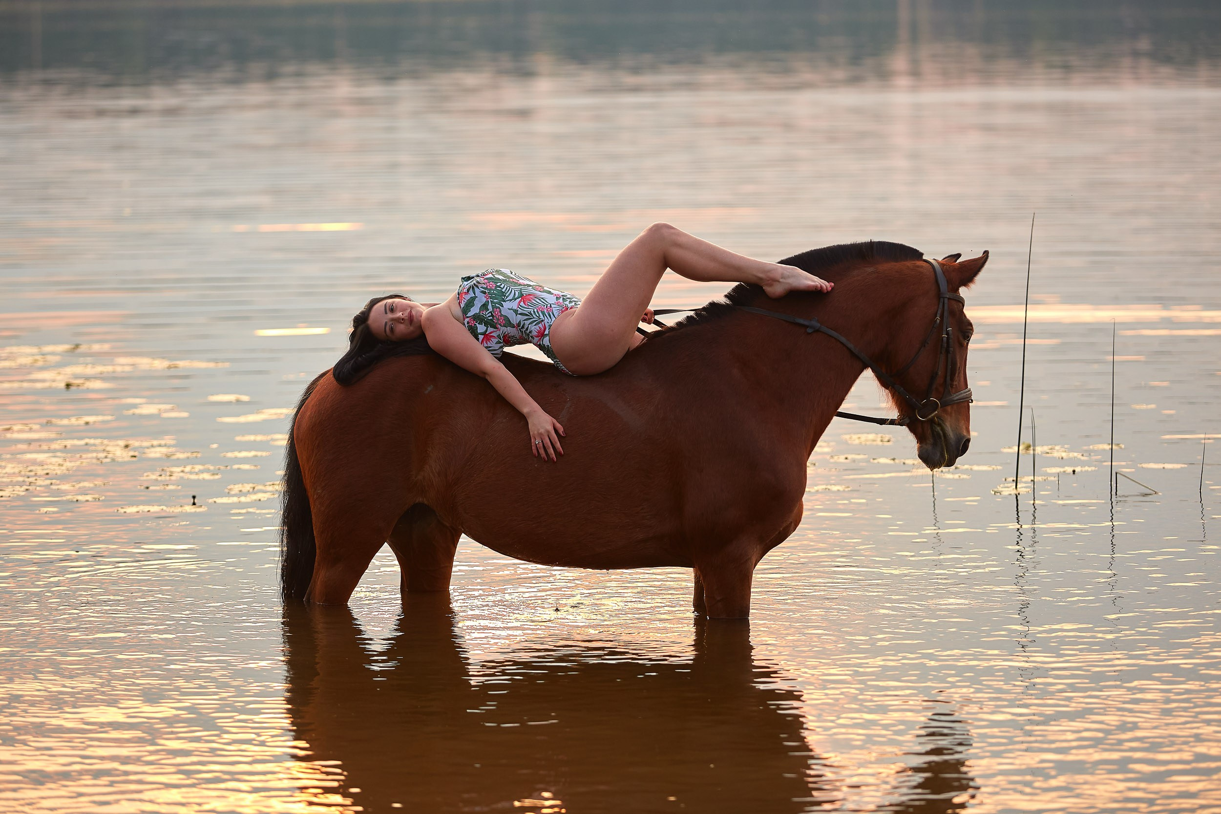 Фотосессия с лошадьми, Фотограф Михаил Семенов г. Ярославль