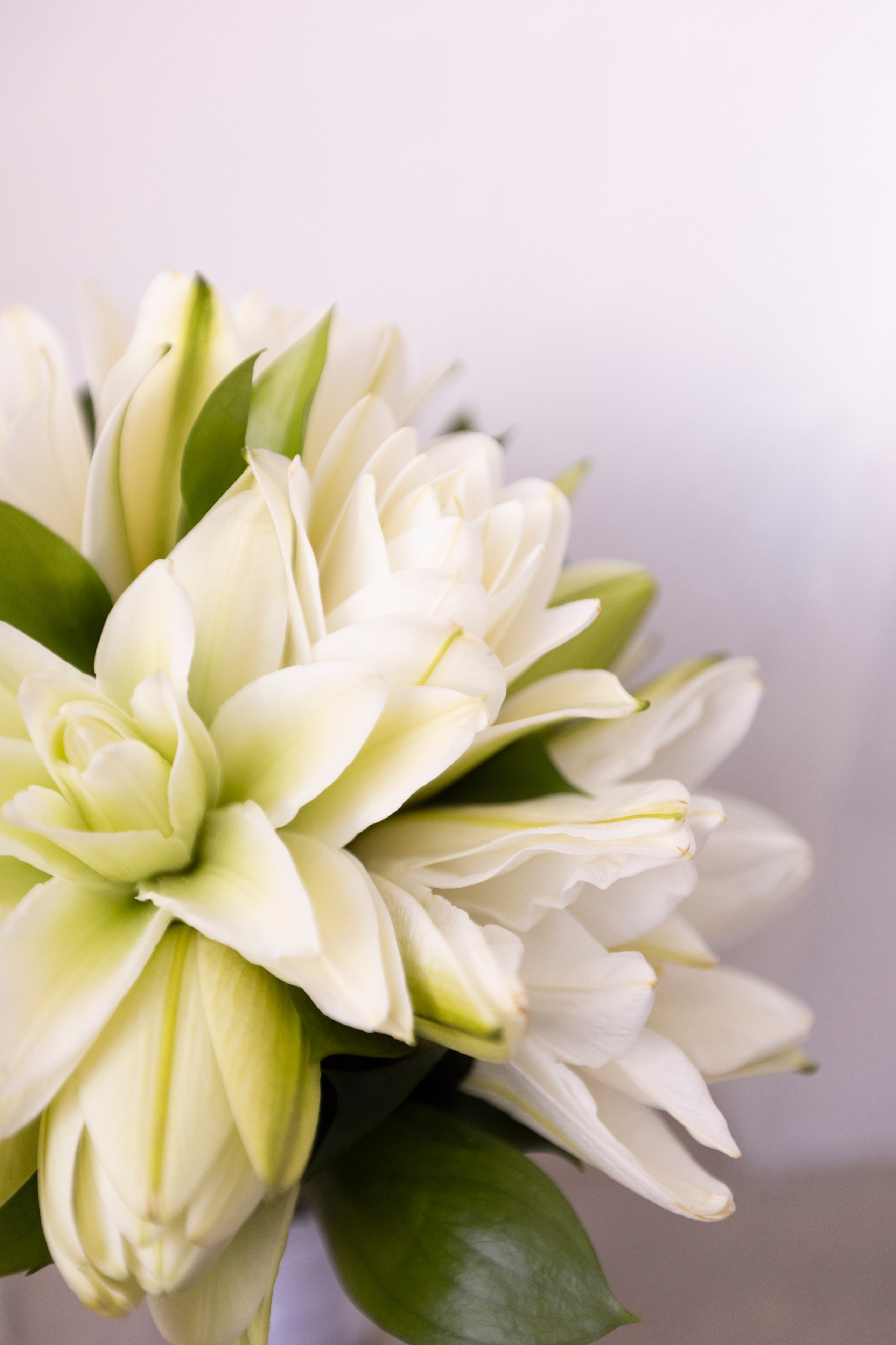 Дмитрий и Анна. Свадебный фотограф Наталья Молявина