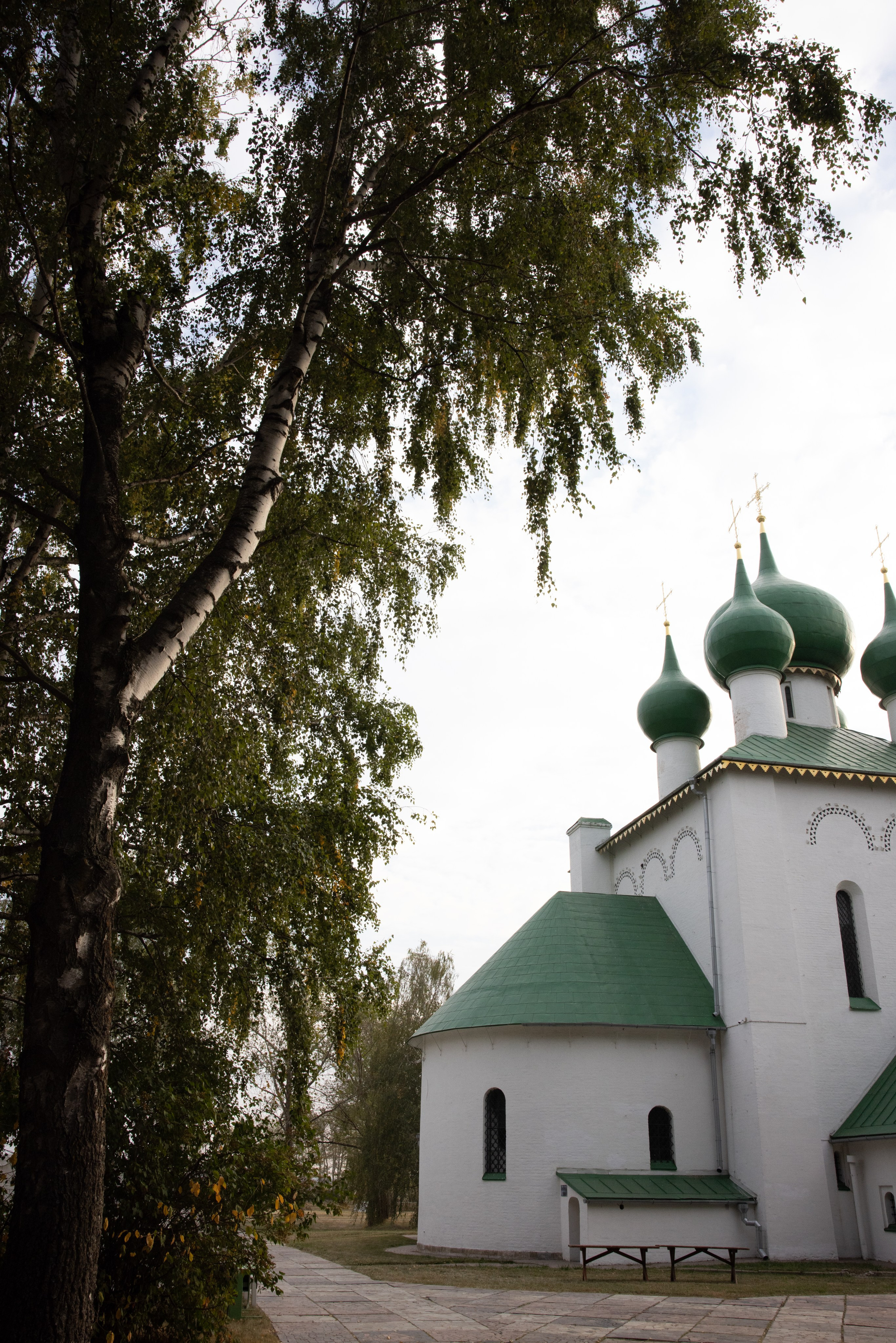 Поездка на поле Кулеково. Фотограф в Туле Крупский АнДРей. Фотостудия «КАДР71» в Туле