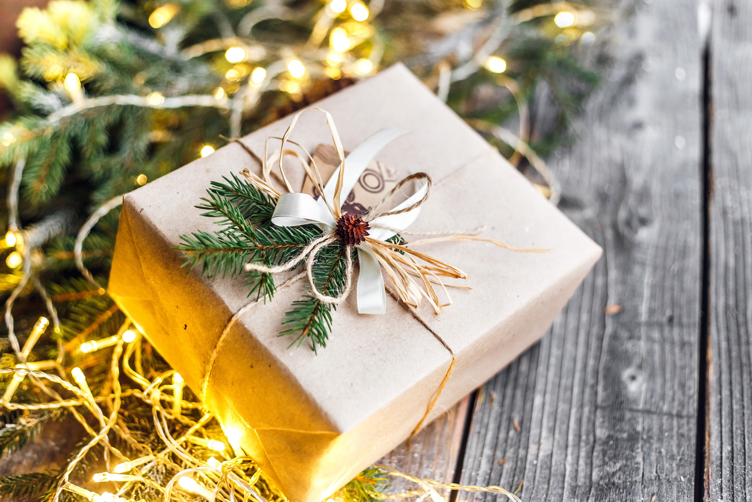 Интерьеры и предметная съемка. Портретный и семейный фотограф в Минске