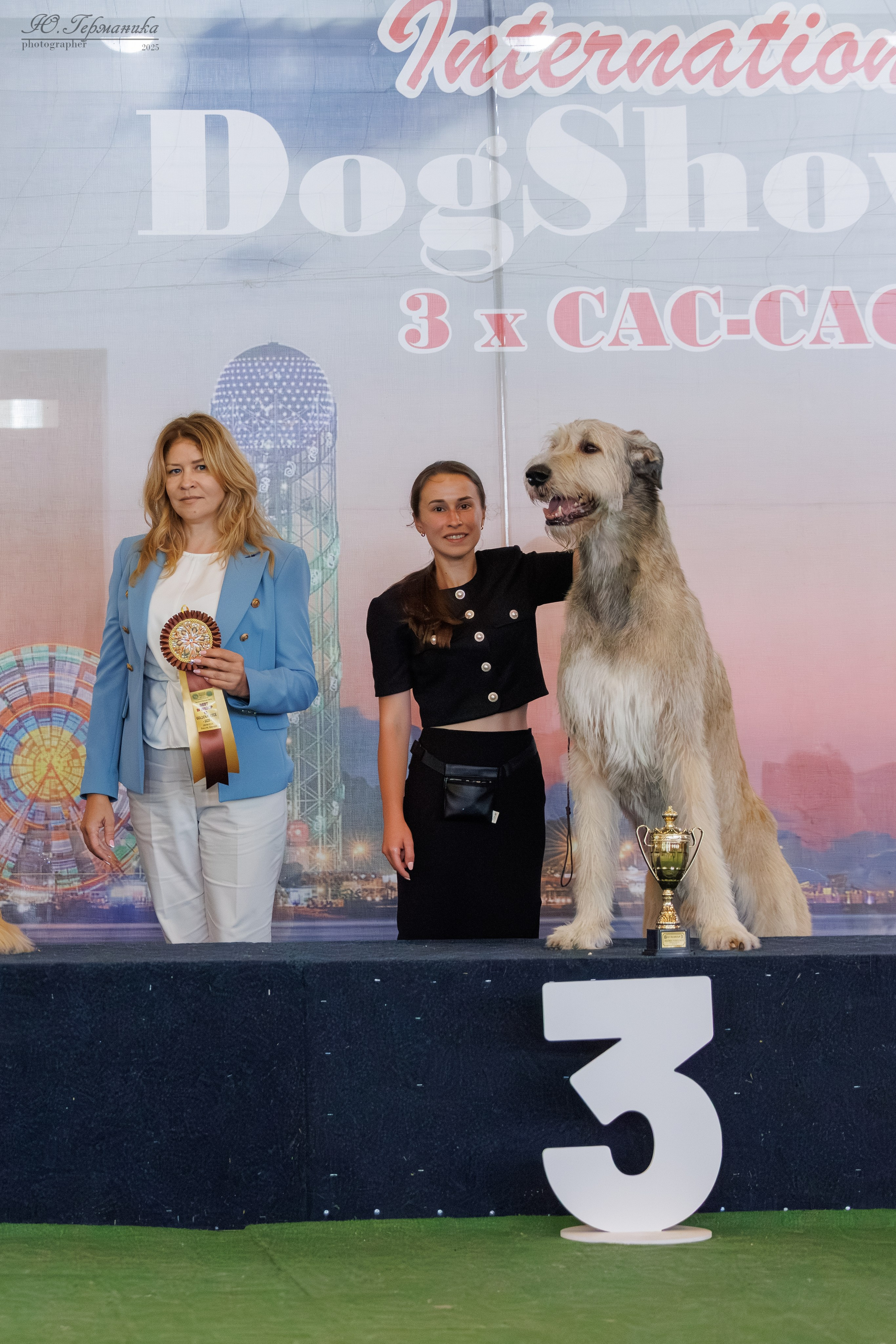 Батуми 3хCACIB 27-29.06.2025. Фотограф-анималист Юлия Германика