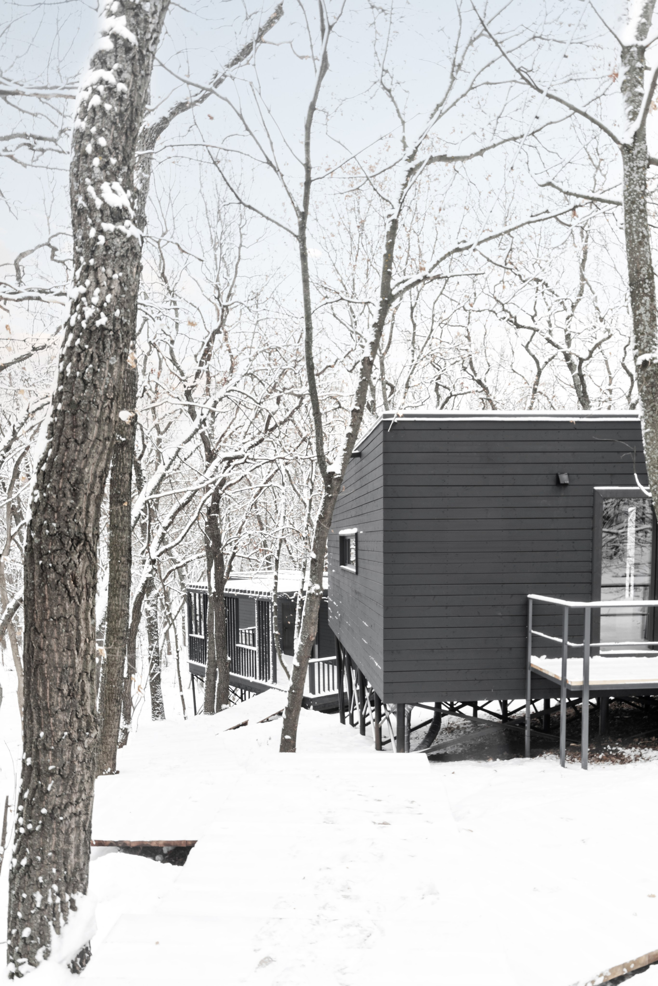 ХОЛМ. SAAS Селиванов Алексей Архитектурная Студия