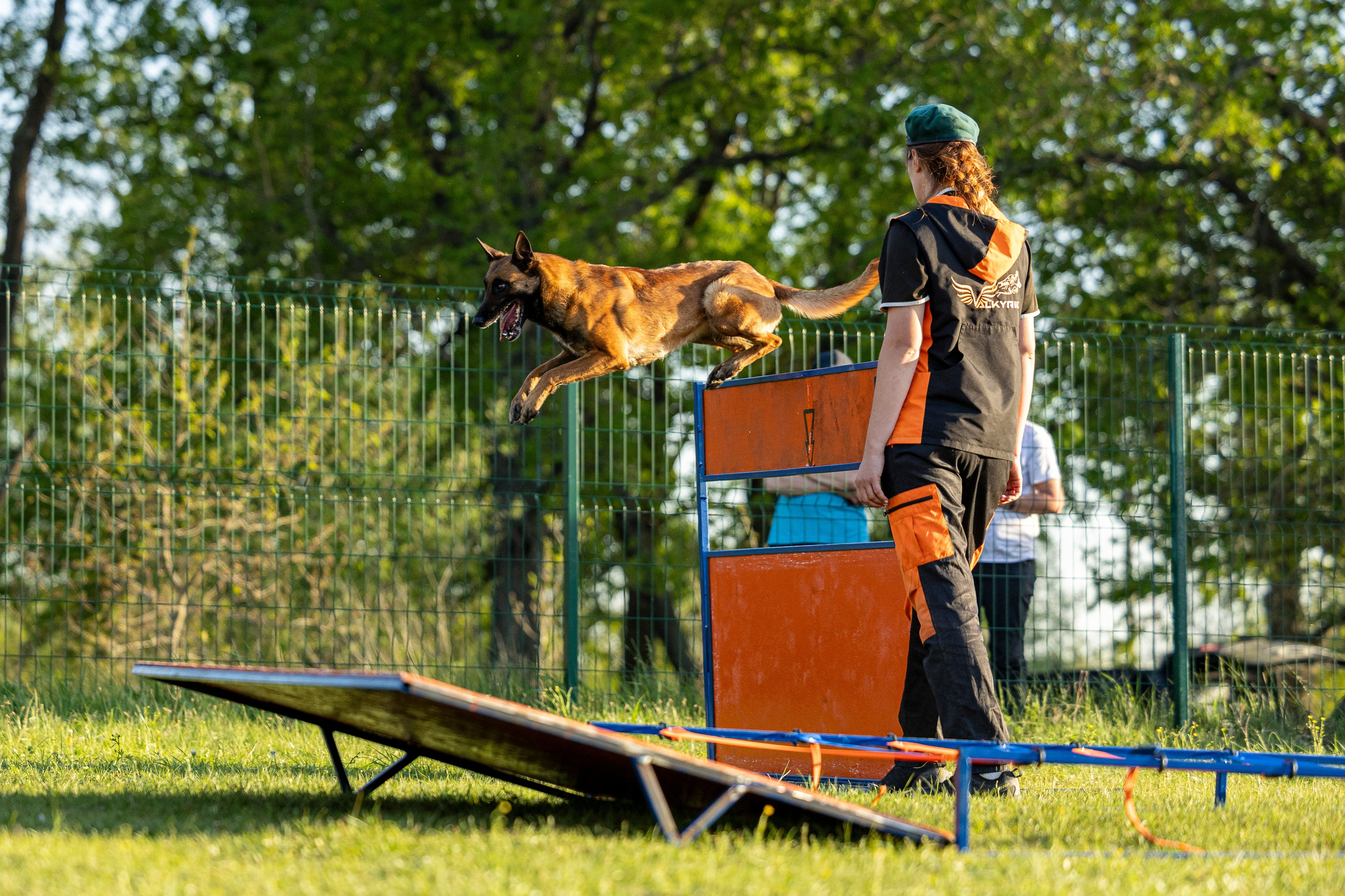 Испытания по мондьорингу в Нижнем Новгороде. Фотограф-анималист Анна Маринич