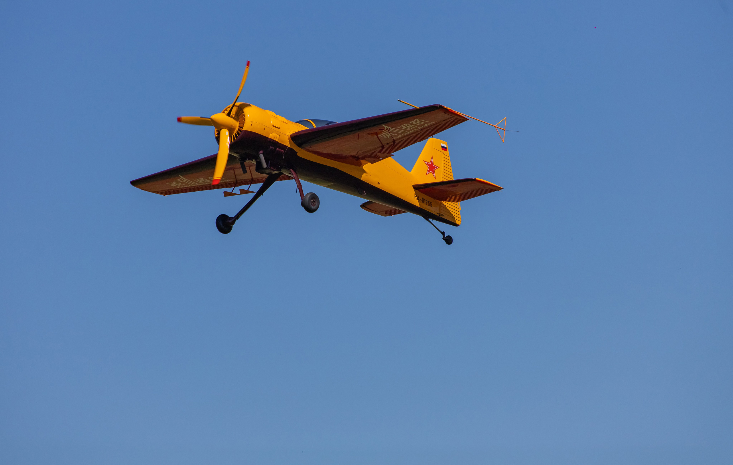 Крылья Пармы 2025 г. KATERINA VINOKUROVA ФОТОГРАФ ПЕРМЬ