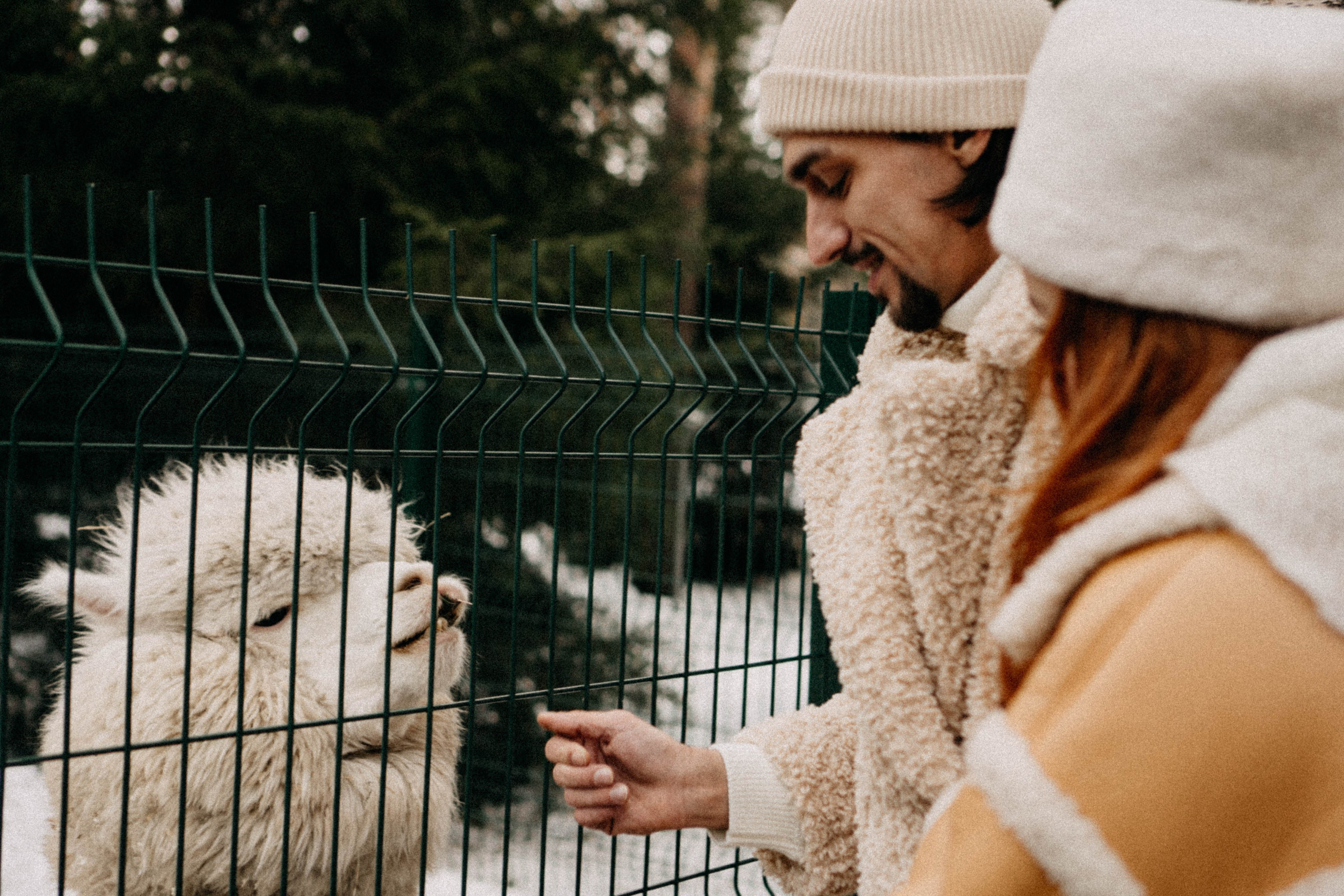Каток. Профессиональный фотограф, Санкт-Петербург — Виктория Богомолова