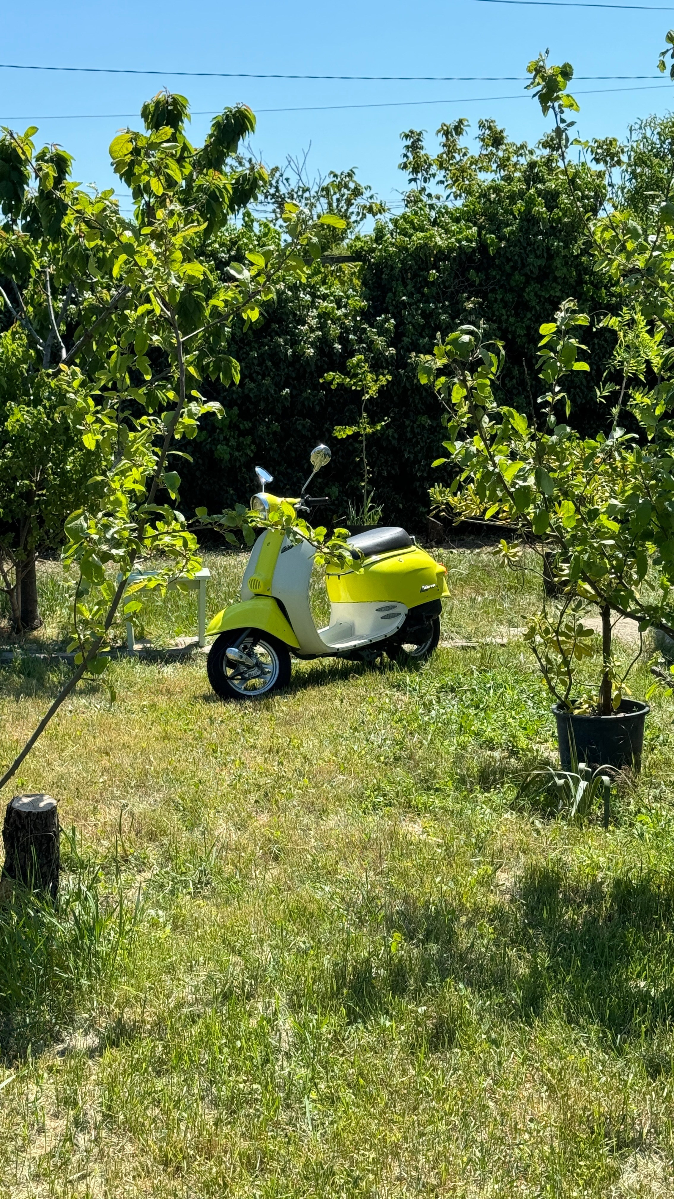 Сицилия. Фотостудия Натальи Забродской
