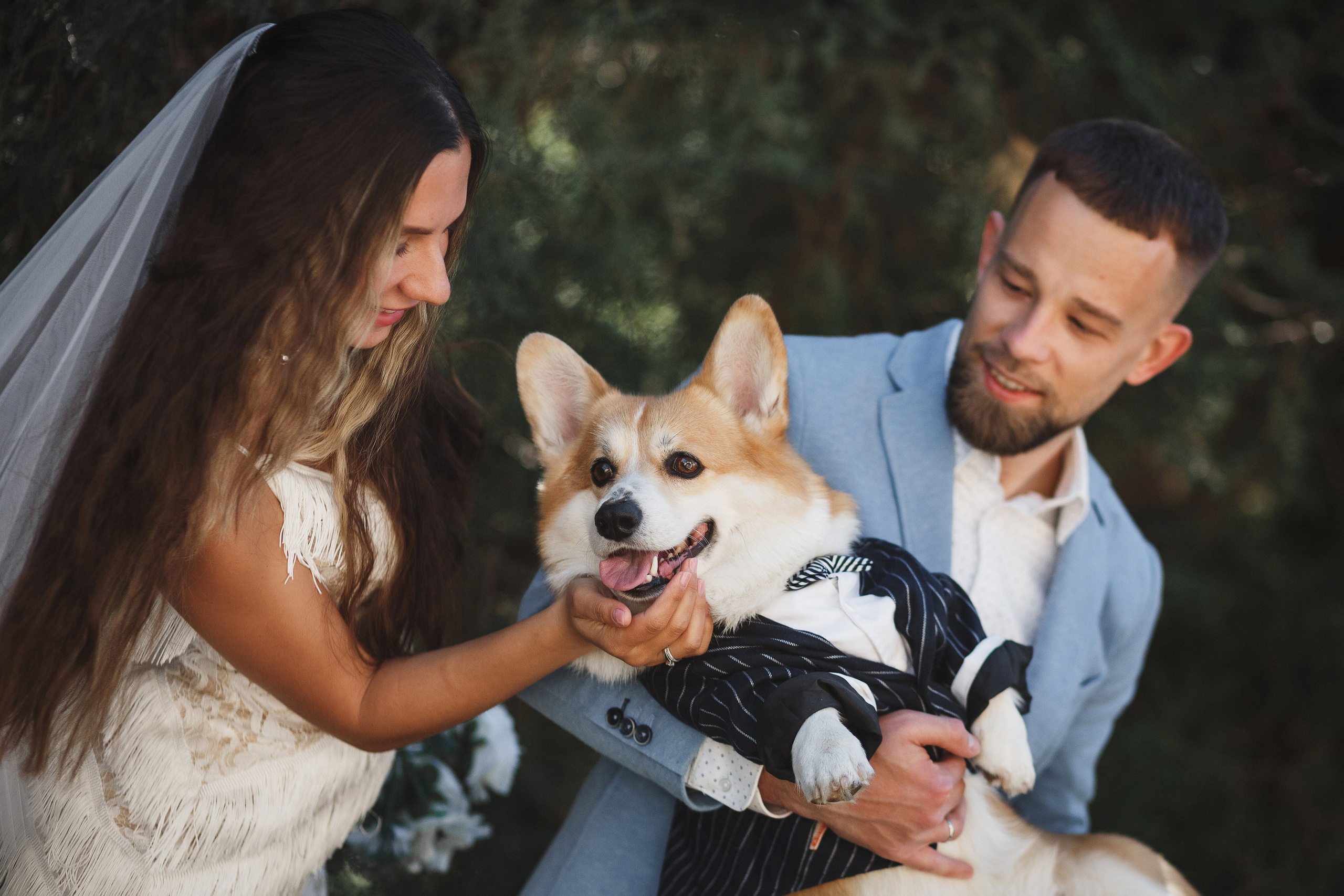 Фотосессия в Таганроге: Денис и Маша с их очаровательной собакой. Свадебный и семейный фотограф в Таганроге Бакарюк Антон