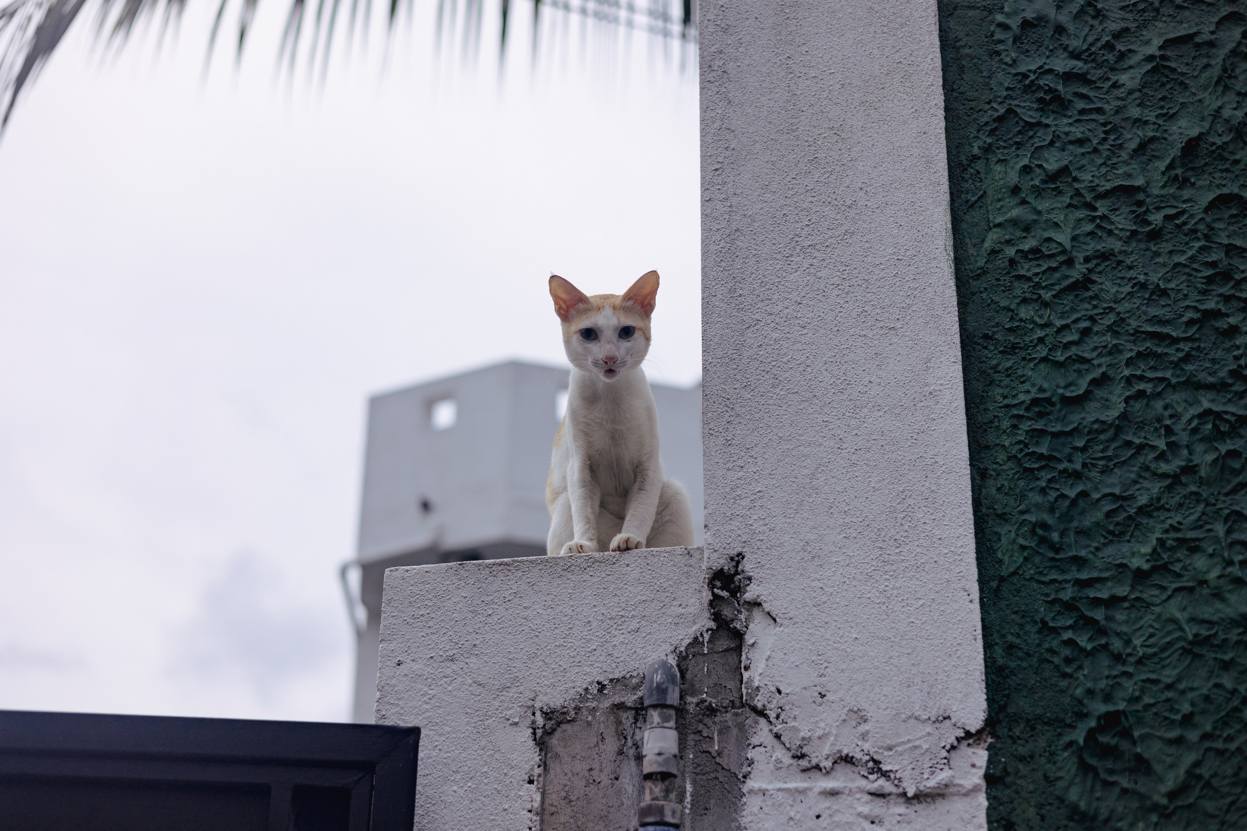 Амбалангода. Фотограф Сонкина Татьяна