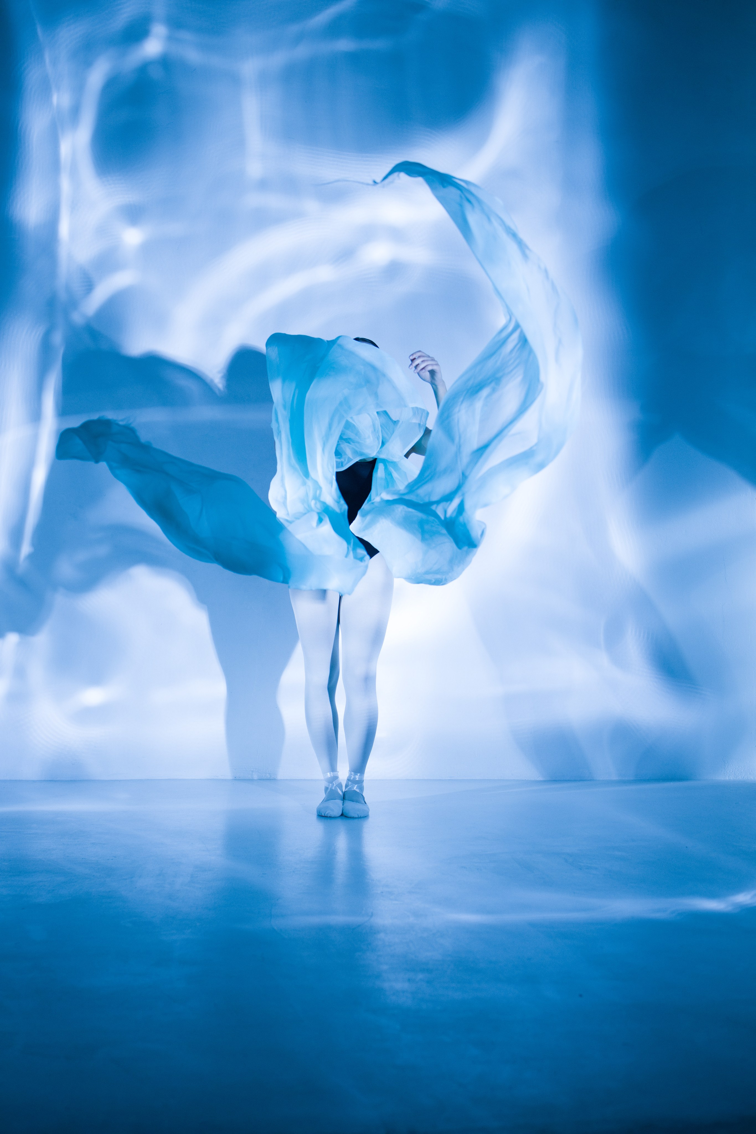 Лилия. Художественная фотография