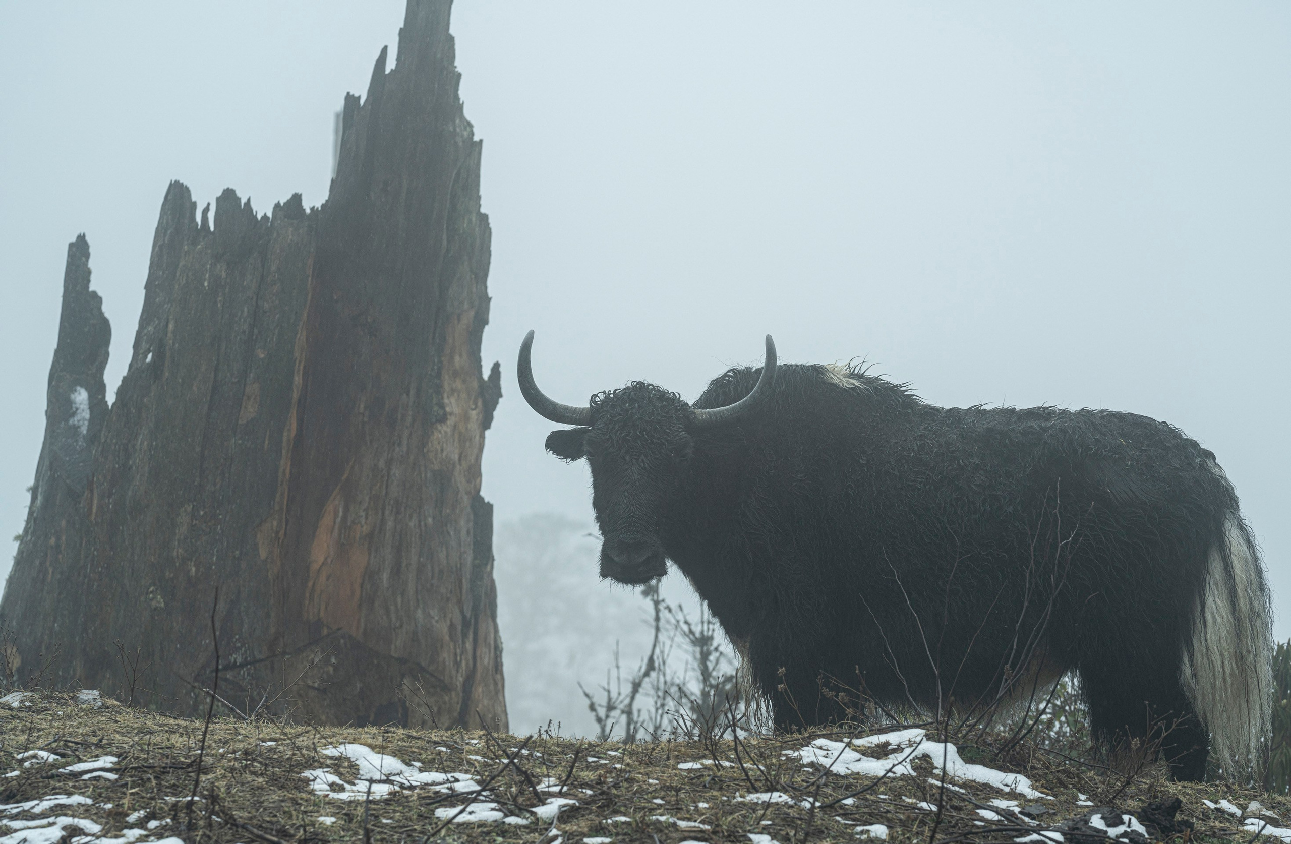 India travel. Фотограф Сергей Танков