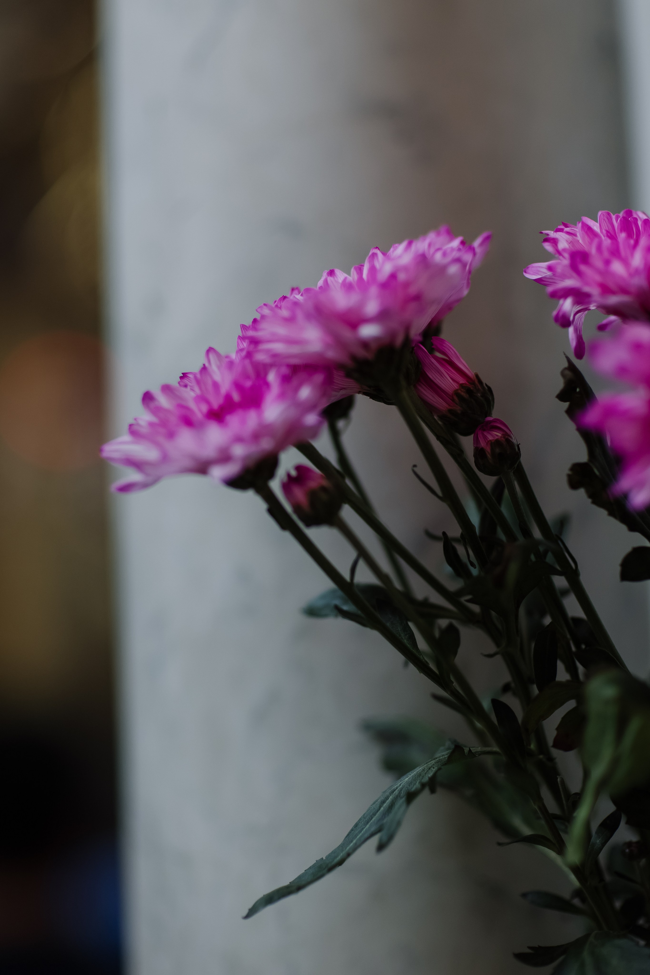 Aleksey&Viktoriya. Свадебный фотограф