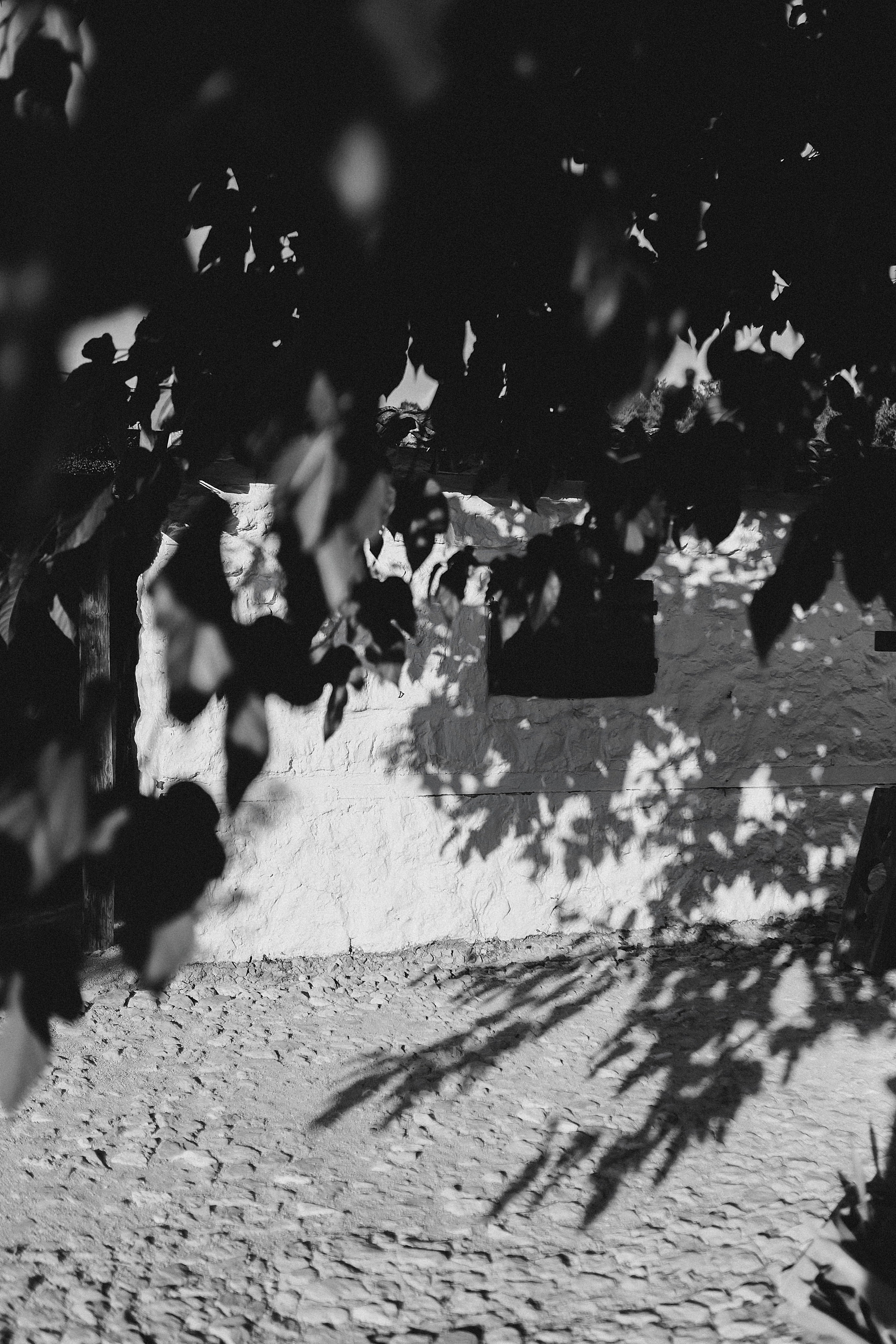 Julia. Свадебный фотограф в Севастополе и Крыму| Tanya Sher