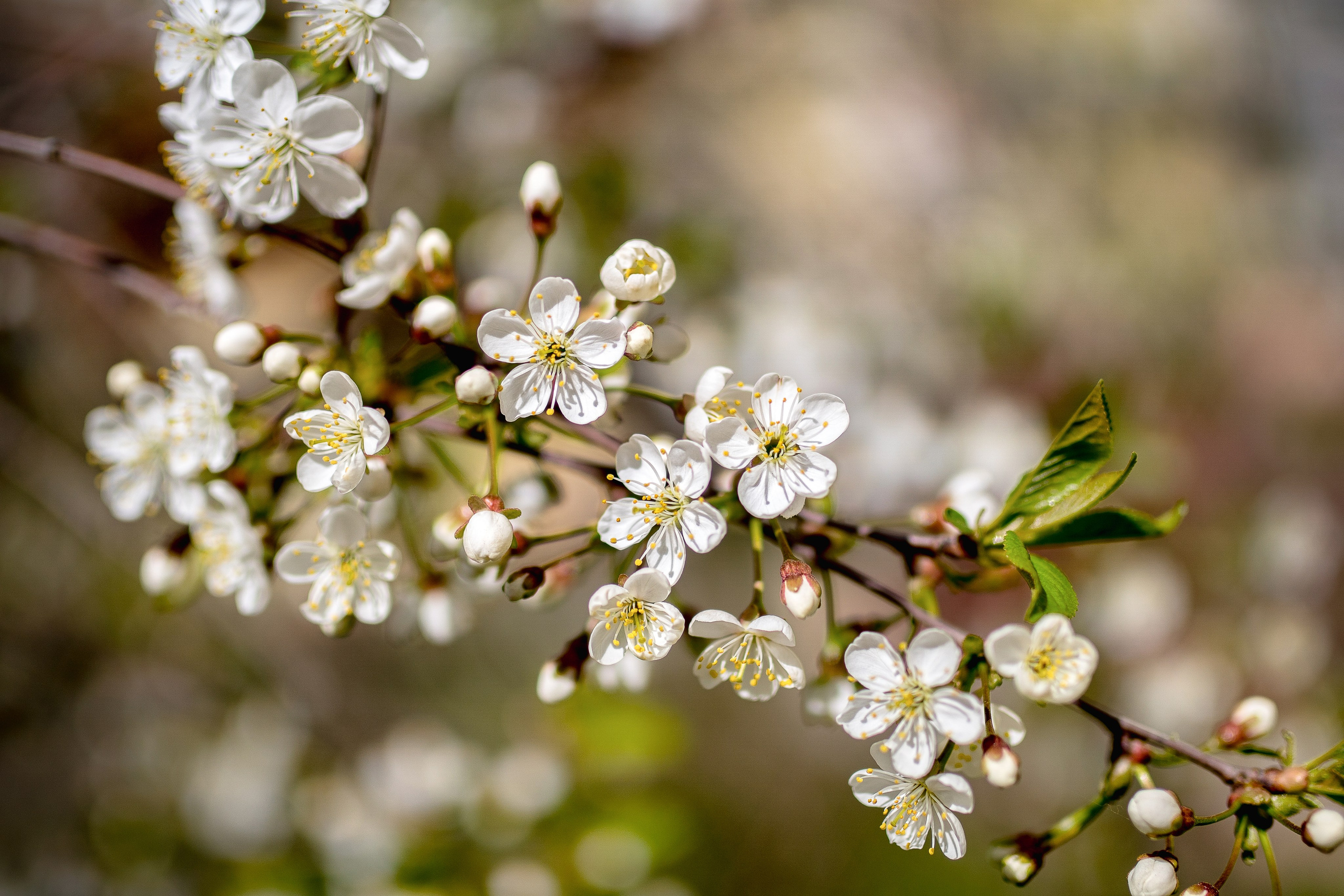 Наша мать — природа. Фотограф Владимир Артамонов