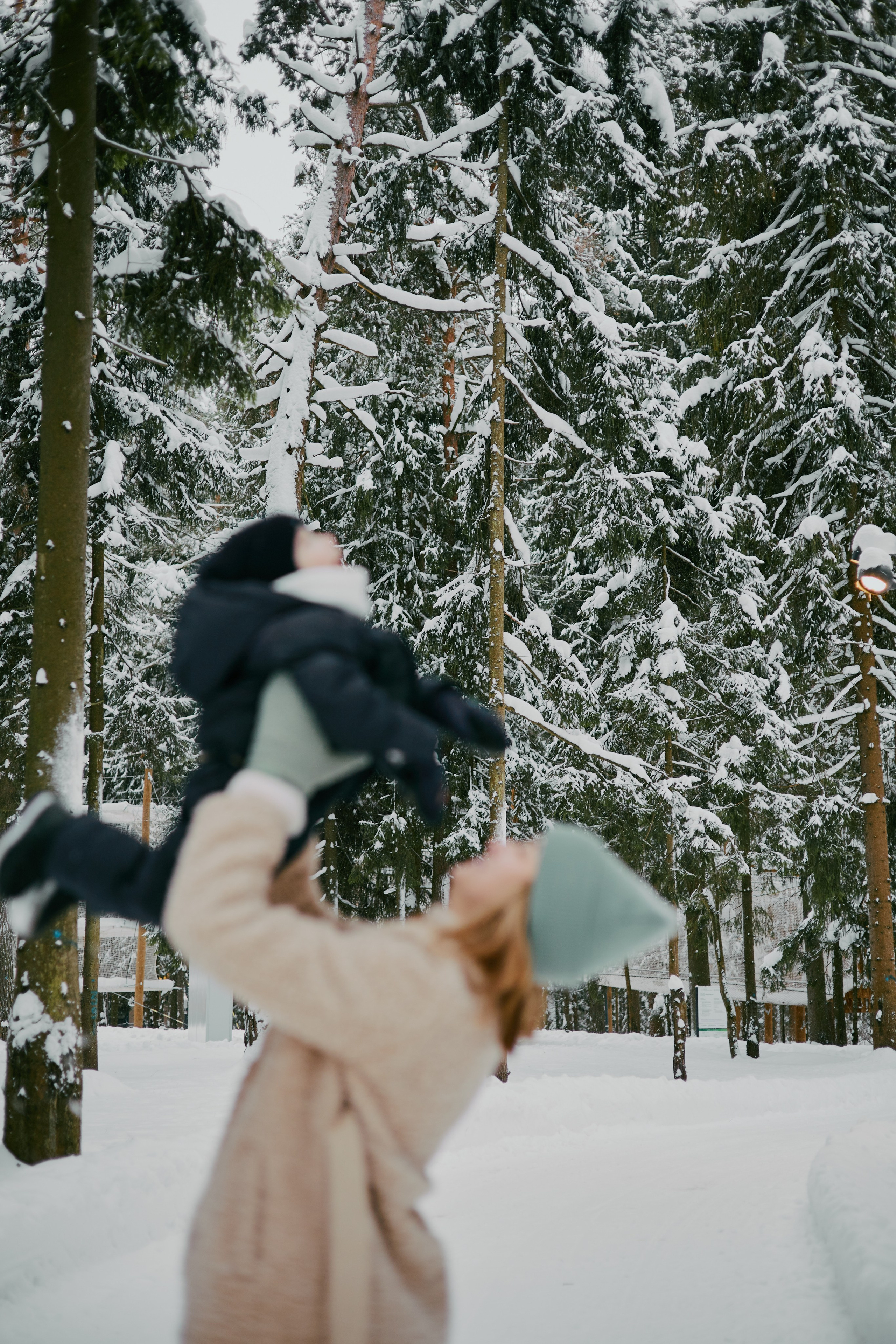 Зимний сад. Алина|Life Фотограф|Москва