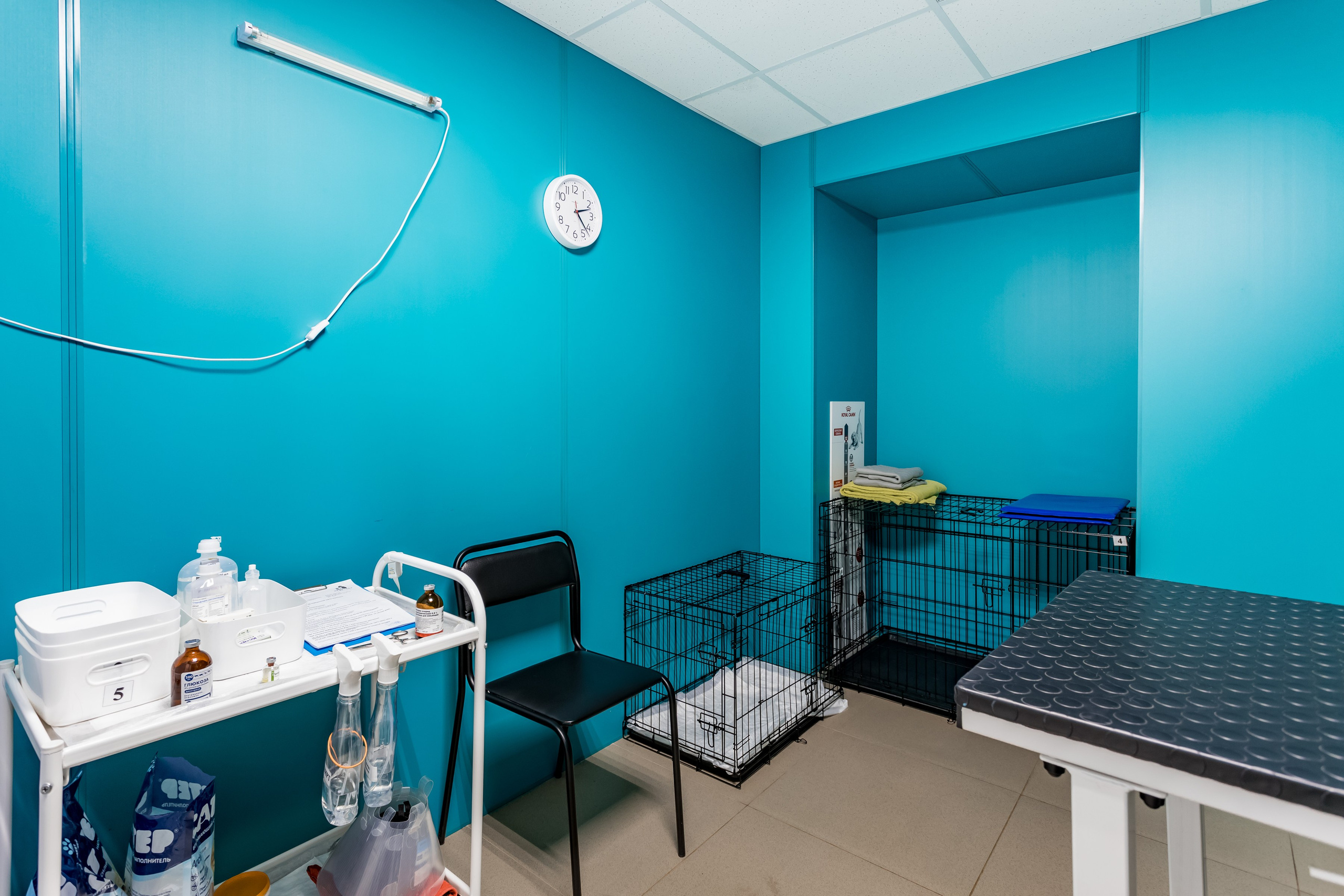 Интерьерная съемка для ветеринарной клиники Прив-вет. Интерьеры, Контент, Портреты | Фотограф в Москве Дани Терно