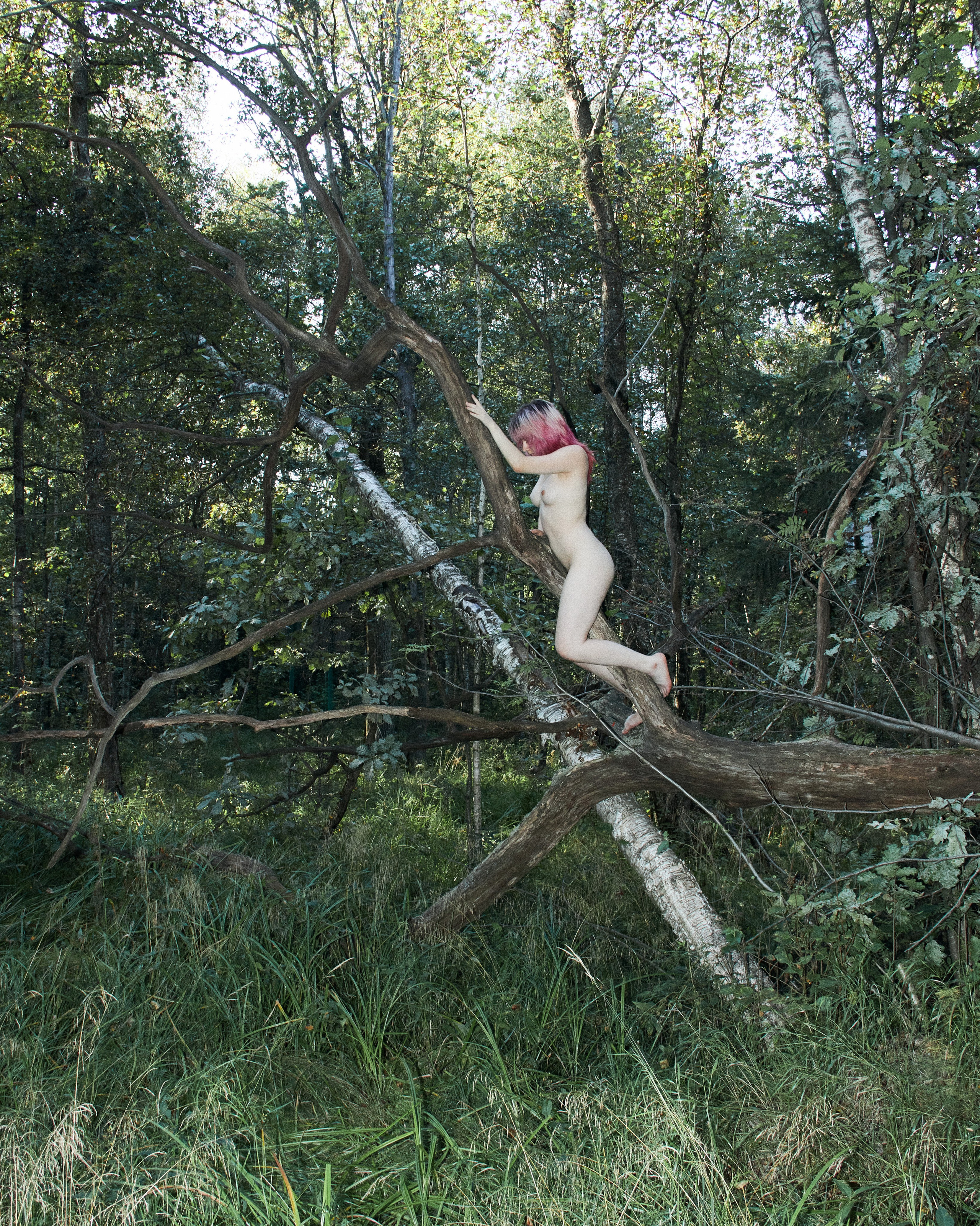 ALENA. Andrew Valmus