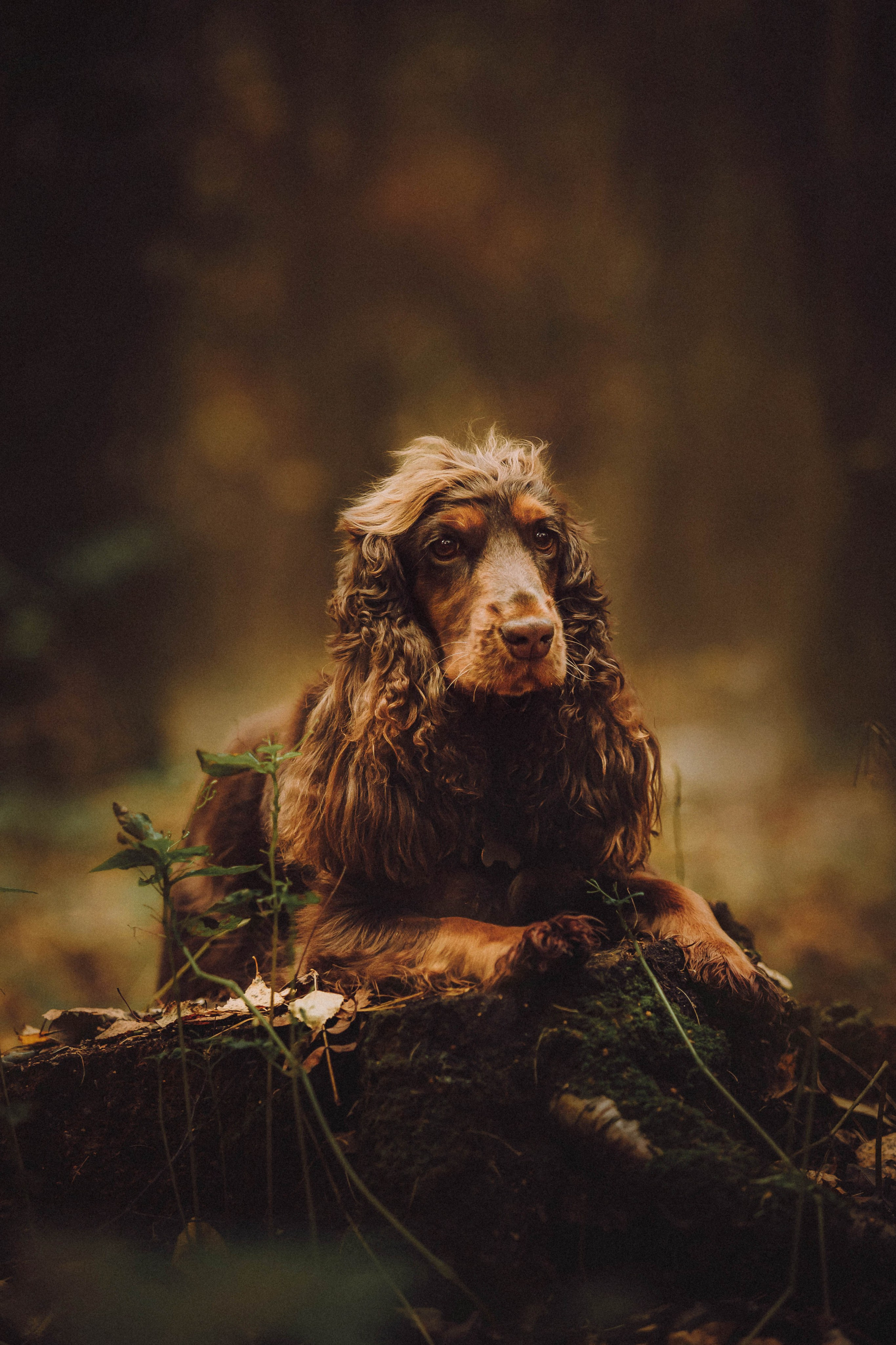 Настя, Саша и Эстер