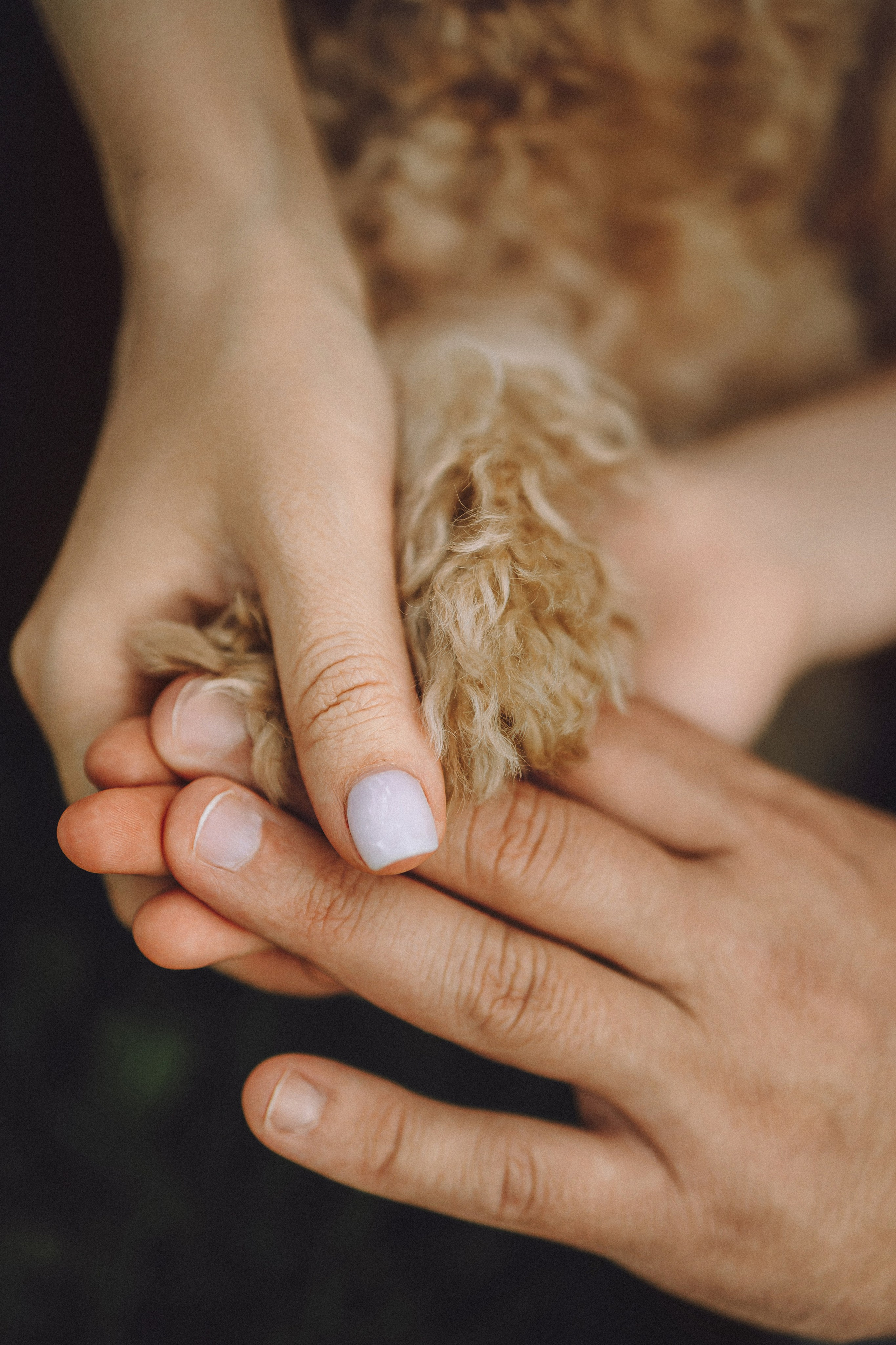 Фред и его семья