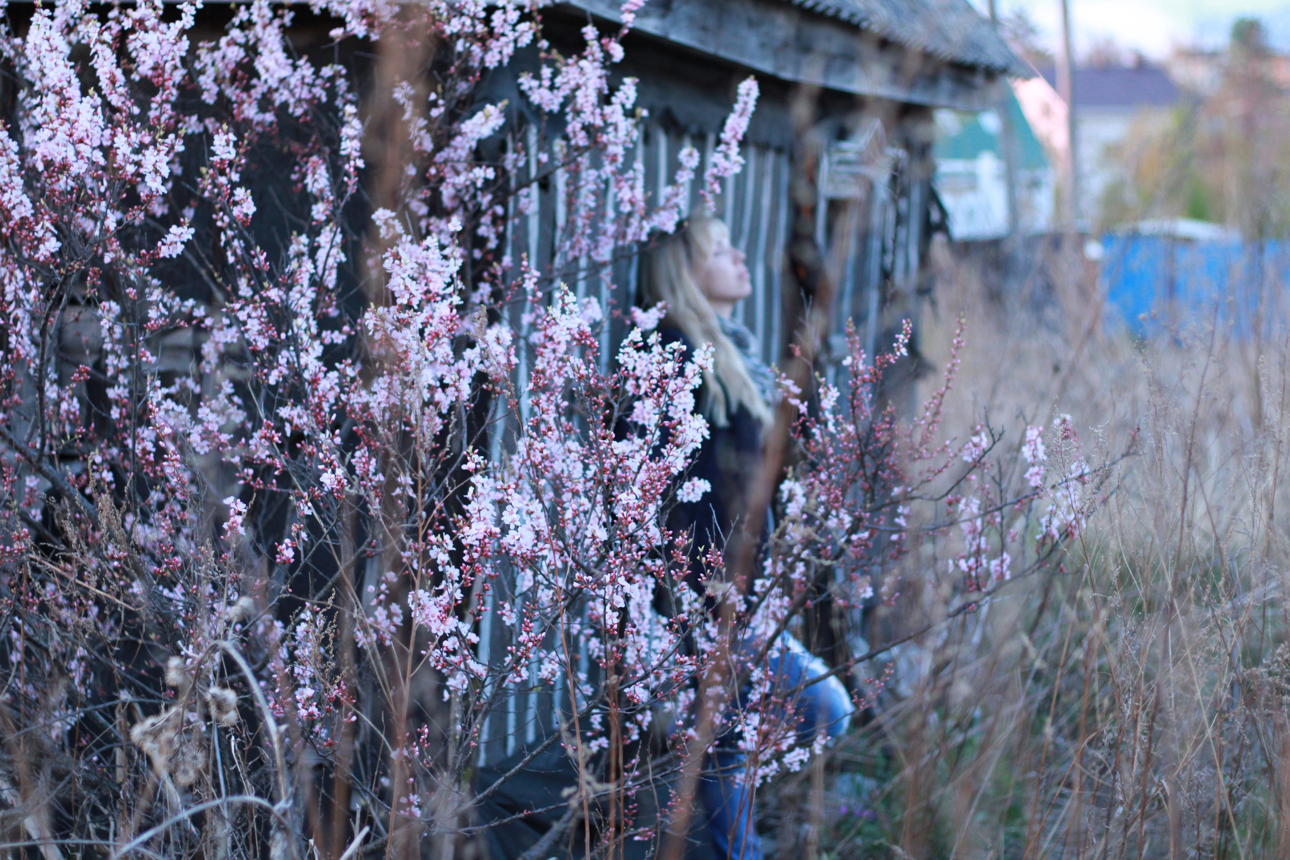 Цвет. Женский фотограф Владивосток