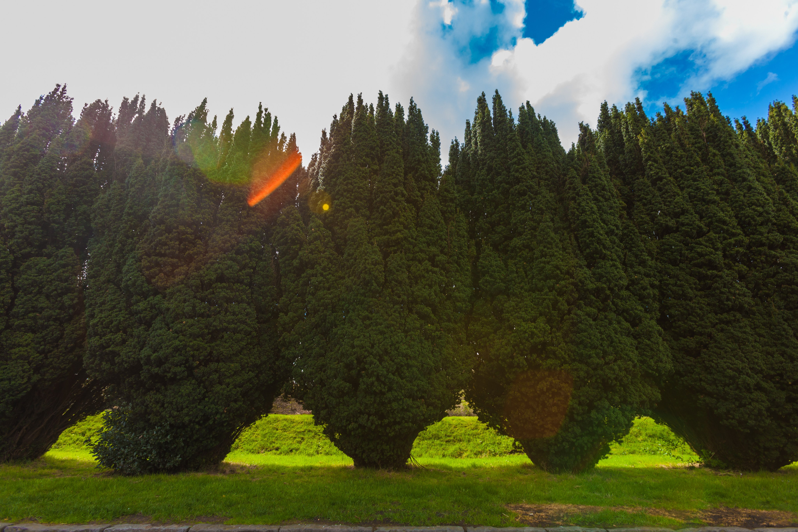 ШОНТЛАДНИЯ / SCOTLAND. Главная