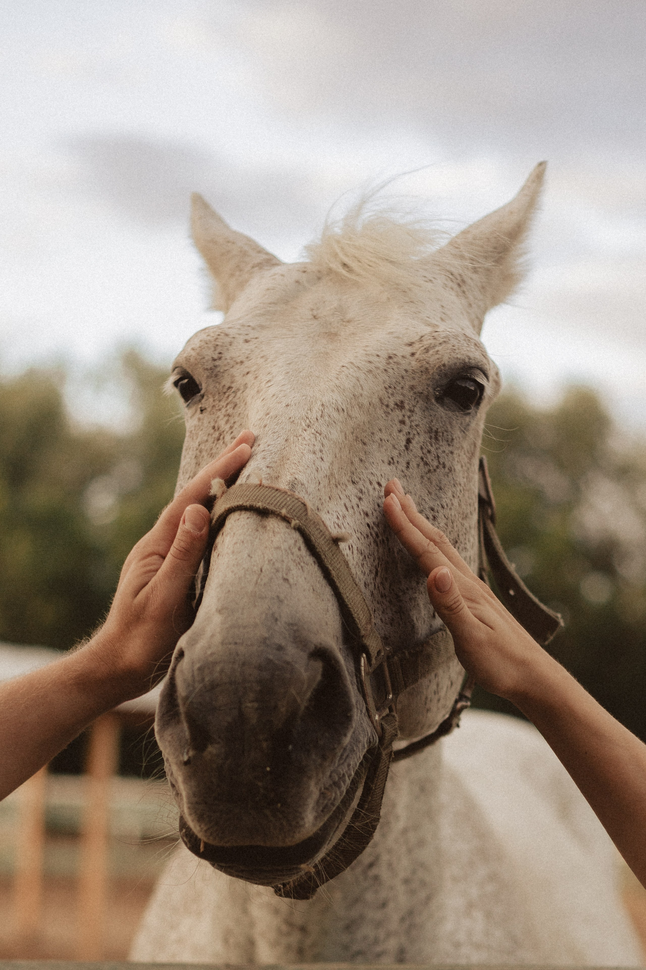 Влад и Ангелина. Фотограф свадебных и парных историй Кристина Шакула