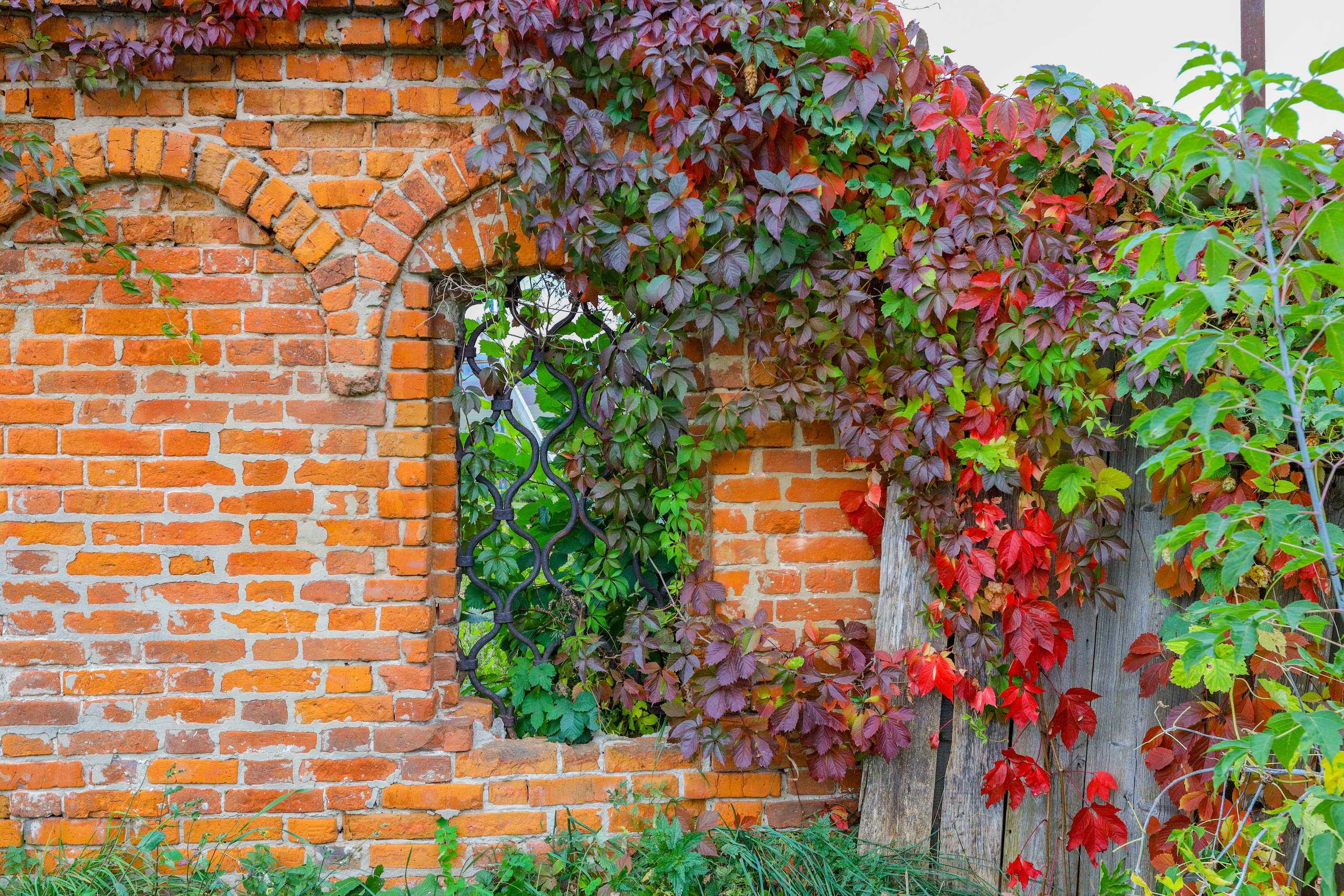 Поездка в Белев и на производство пастилы. Фотограф в Туле Крупский АнДРей. Фотостудия «КАДР71» в Туле