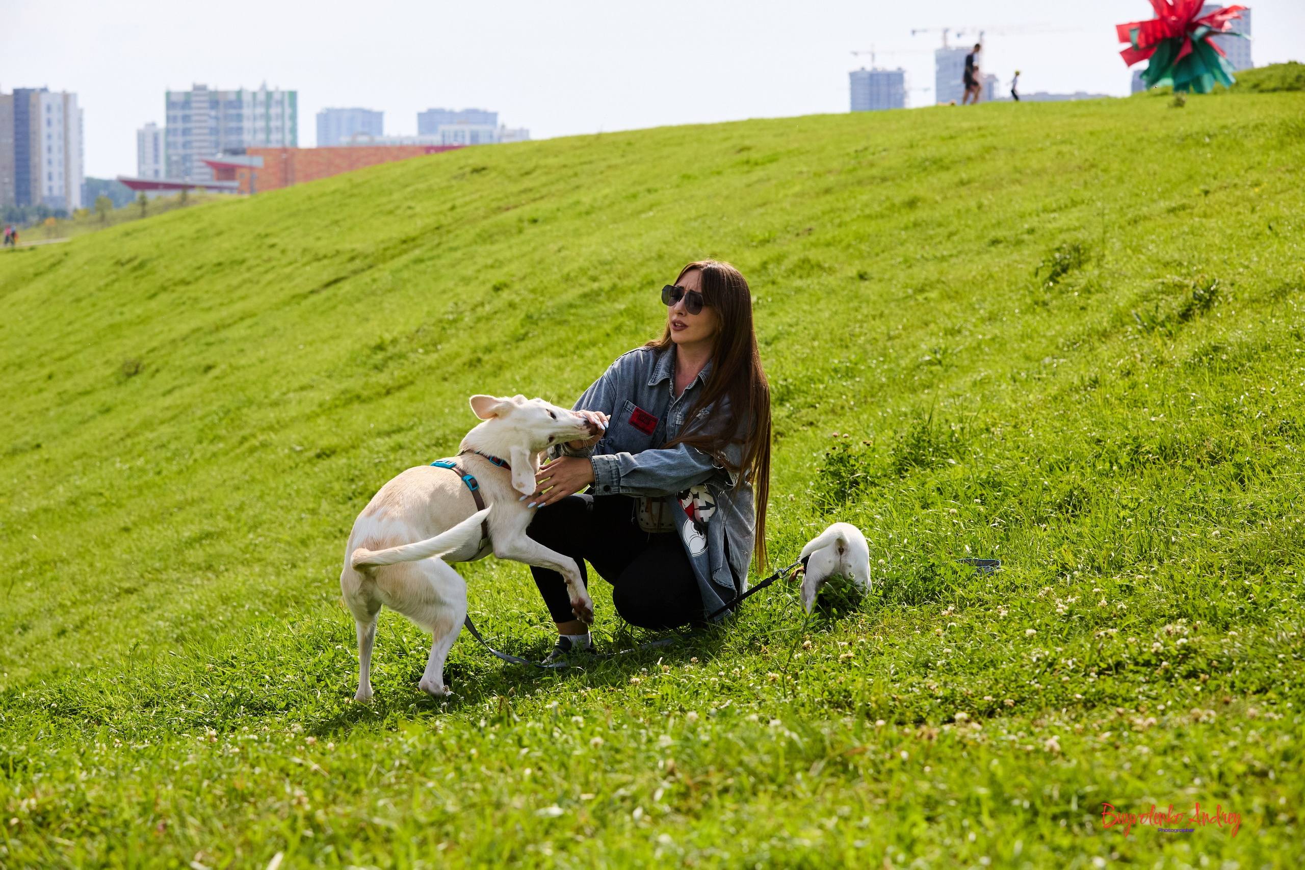 Проект фотопрогулка с хвостиком. Buyvolenko Andrey