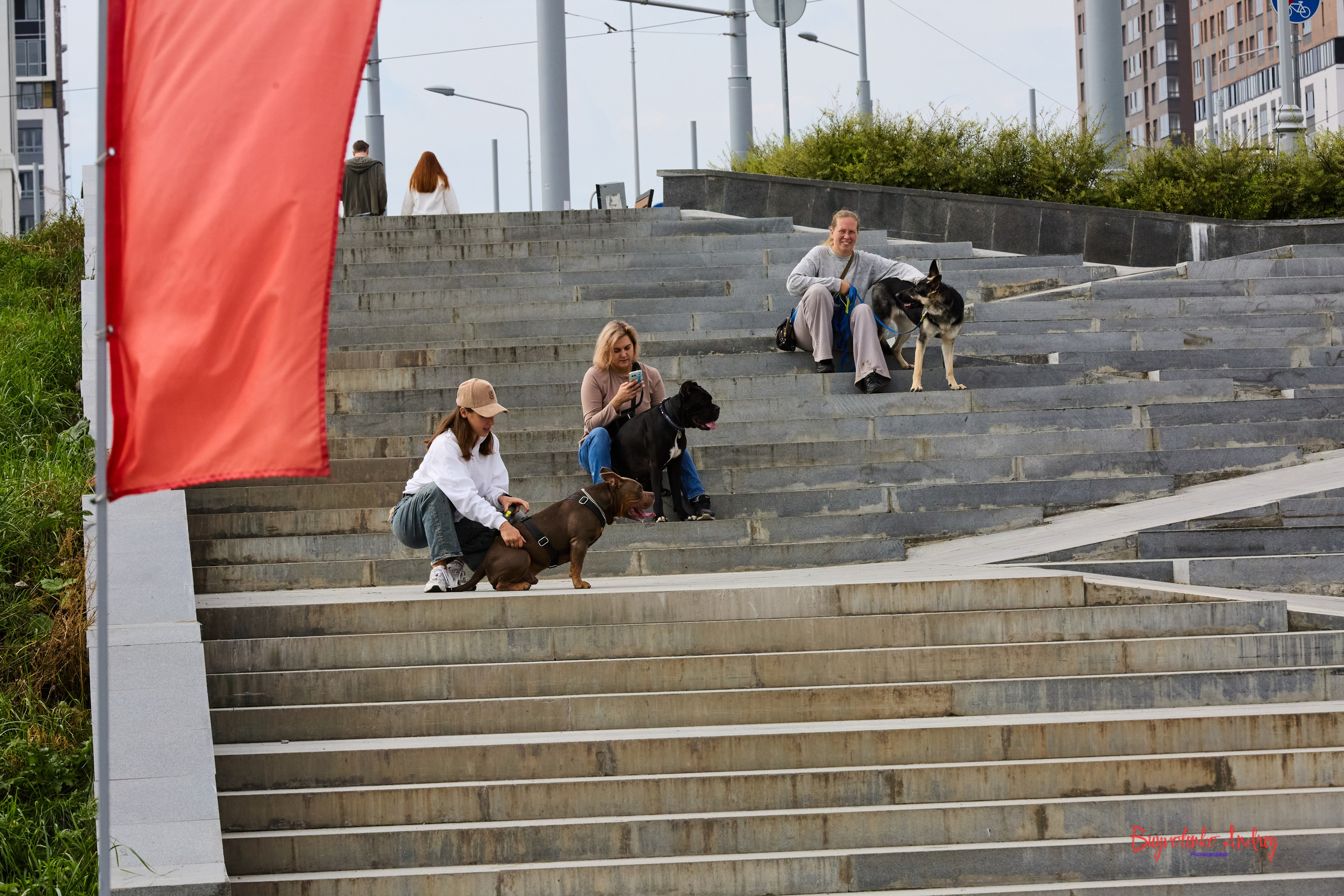 Проект фотопрогулка с хвостиком. Buyvolenko Andrey