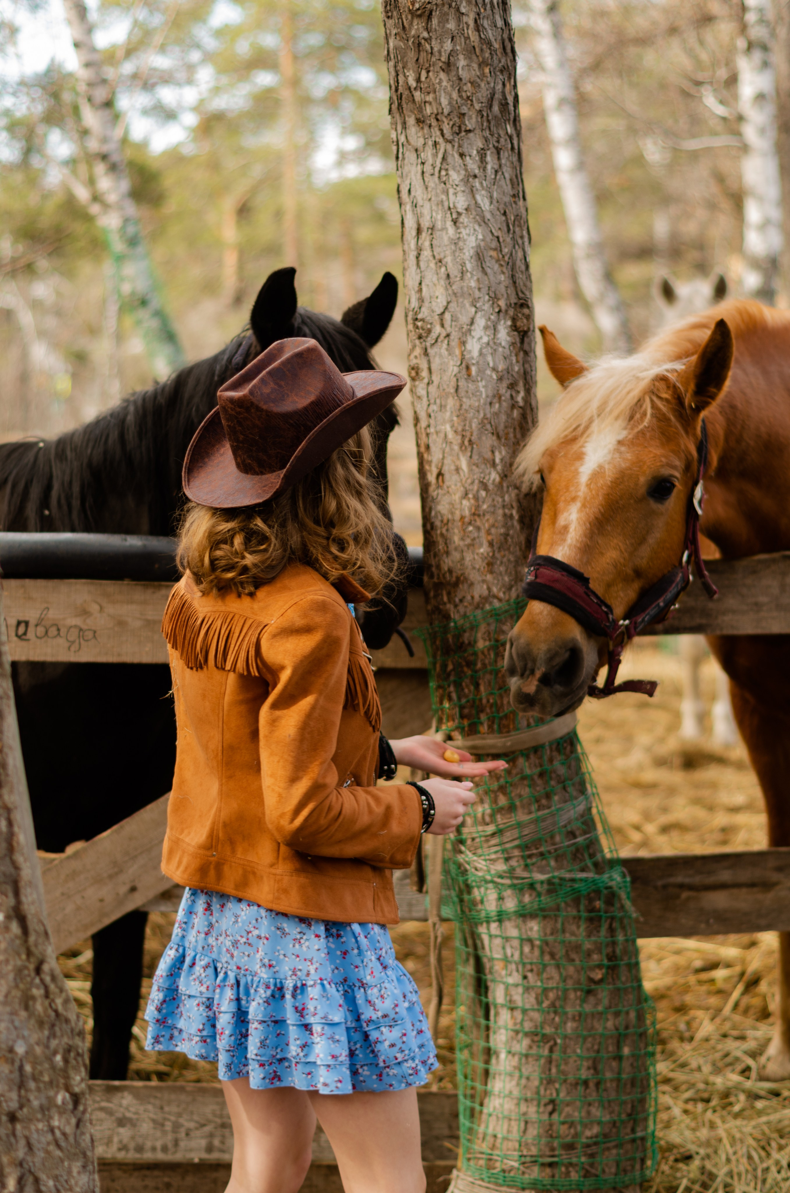 Ковбойская девчонка. Фотограф Марина Доглядная Челябинск фотосессии с лошадьми, мотоциклами