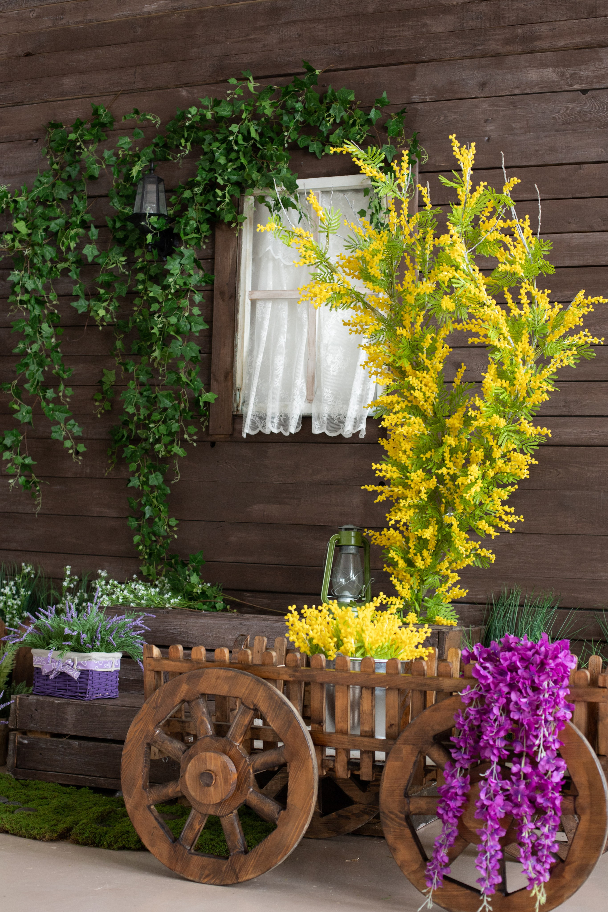 Буфет (студия Зеркало). Фотограф г. Хабаровск. Семейные и индивидуальные съёмки