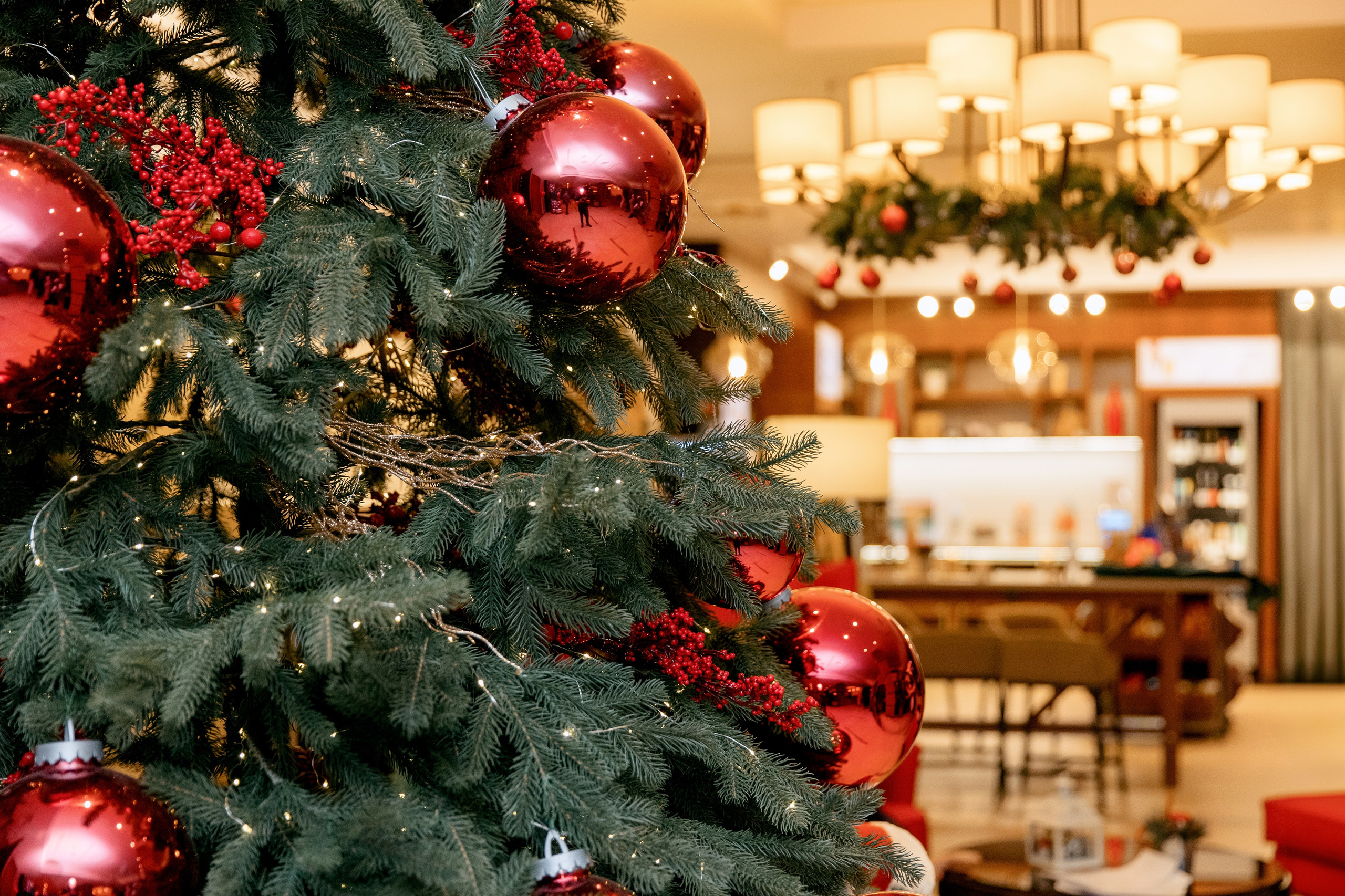 ПОКОЛЕНИЕ БУДУЩЕГО. Фотограф в Красноярске