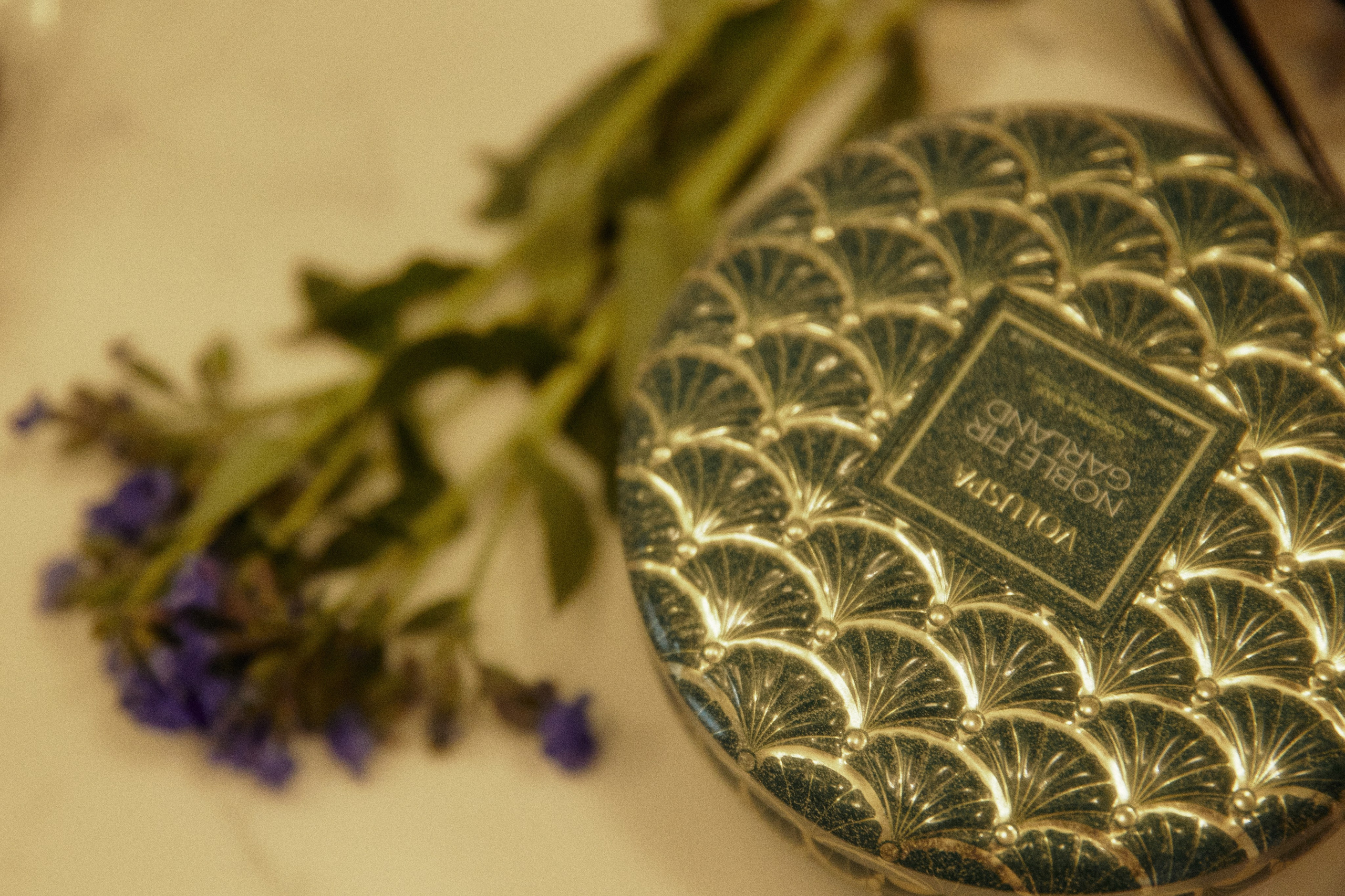 ITALIAN FAMILY. Дмитрий Мазуркевич: Профессиональный Репортажный Фотограф