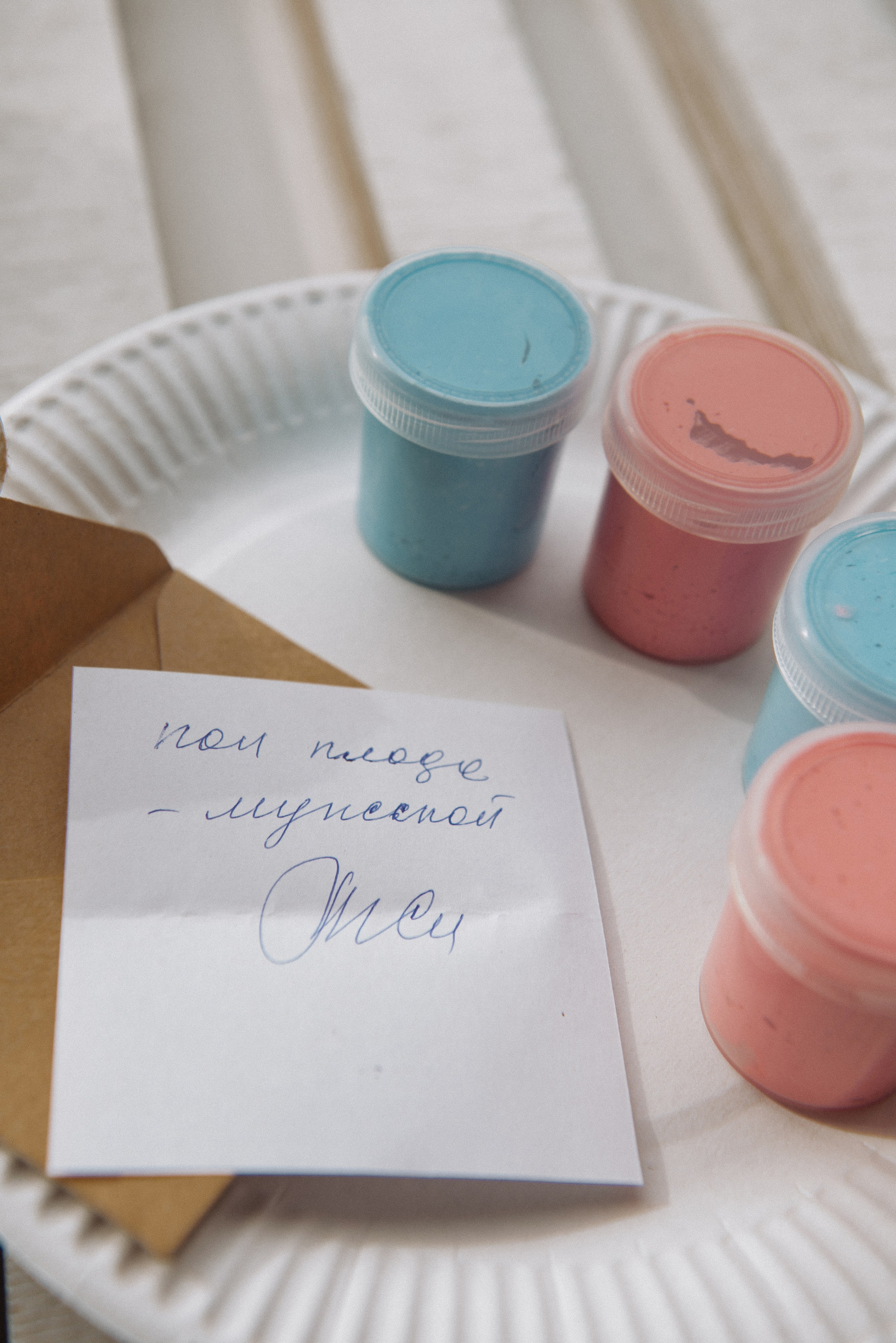 Юля и Рома Гендерпати. Свадебный, портретный, фотограф беременности в Нижнем Новгороде Алина Зиновьева